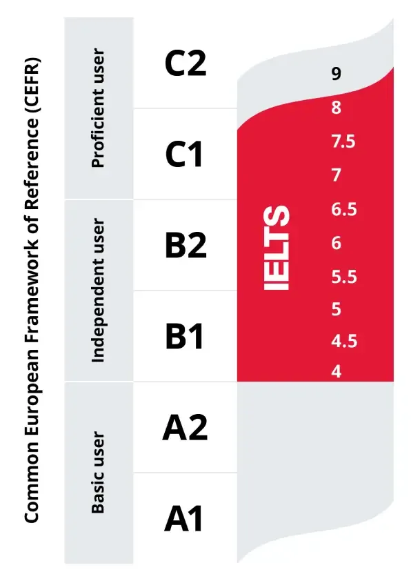 The new B2 language requirement is broadly equivalent to a 5.5 - 6.5 score on the IELTS scale used by other countries