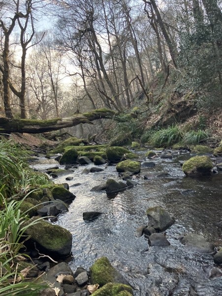 Shipley Glen near Bradford
