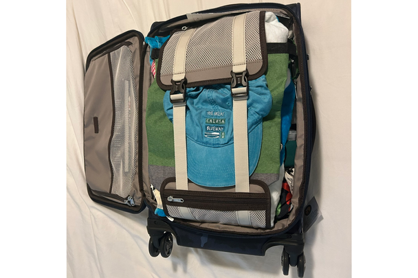 TravelPro platinum elite carry-on spinner indybest review (2)