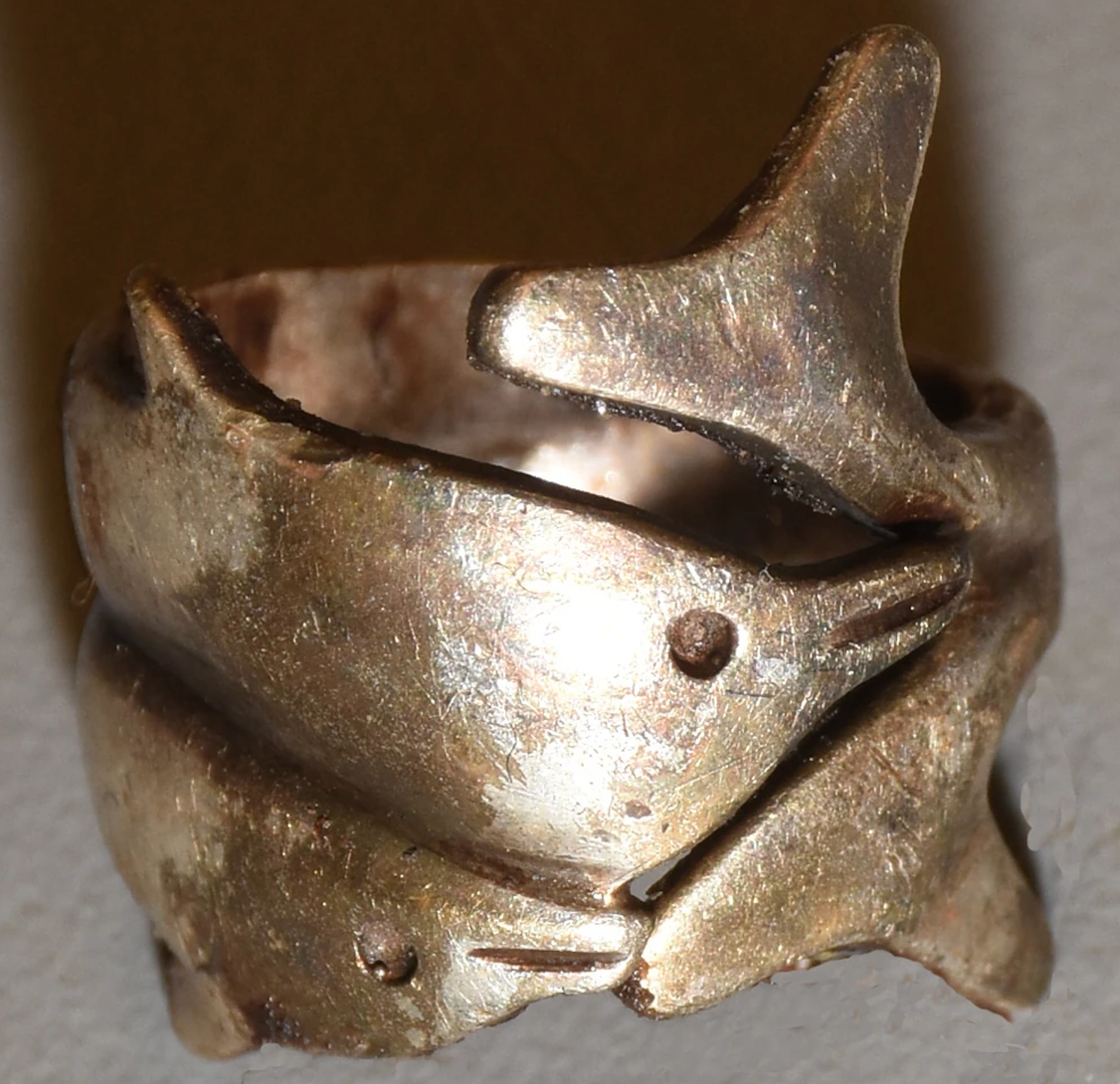 The woman was also found with a white metal ring featuring dolphin or porpoise designs