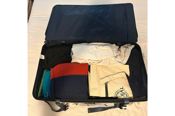 antler bag suitcase indybest