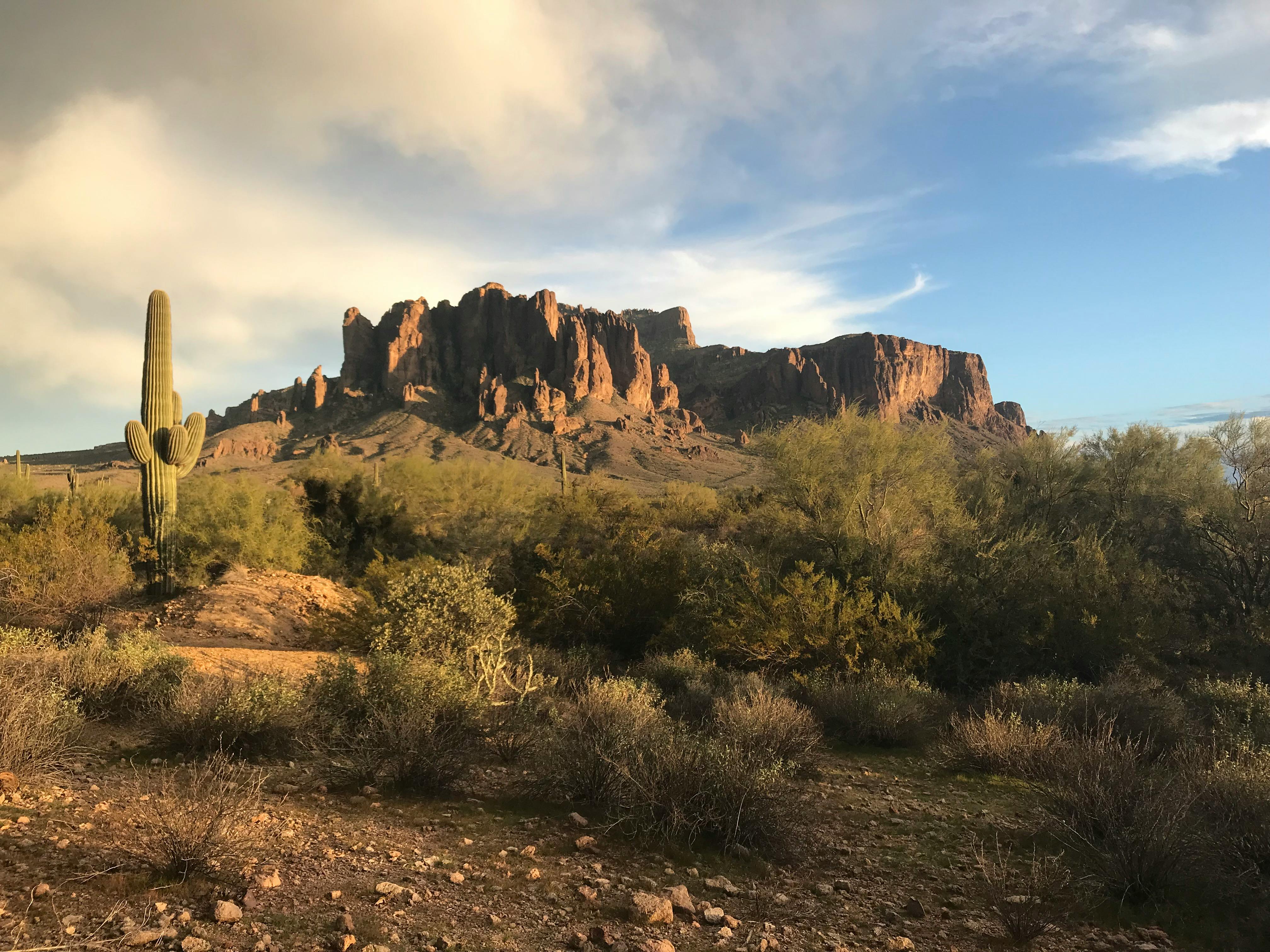 The group was rescued from the Superstition Mountains near Gold Canyon, about 40 miles east of Phoenix