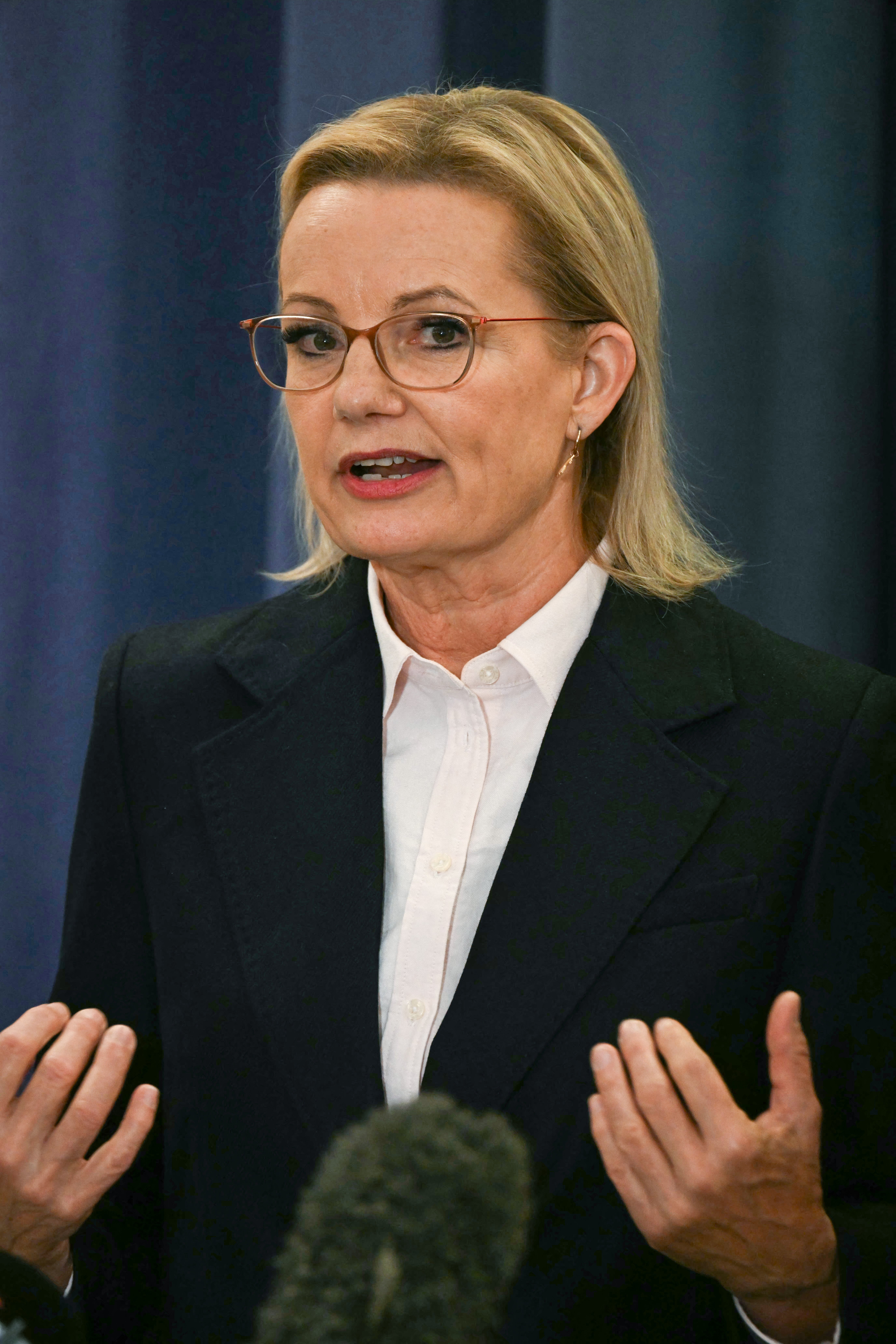 Australia's Leader of the Opposition Sussan Ley speaks at a press conference at Parliament House