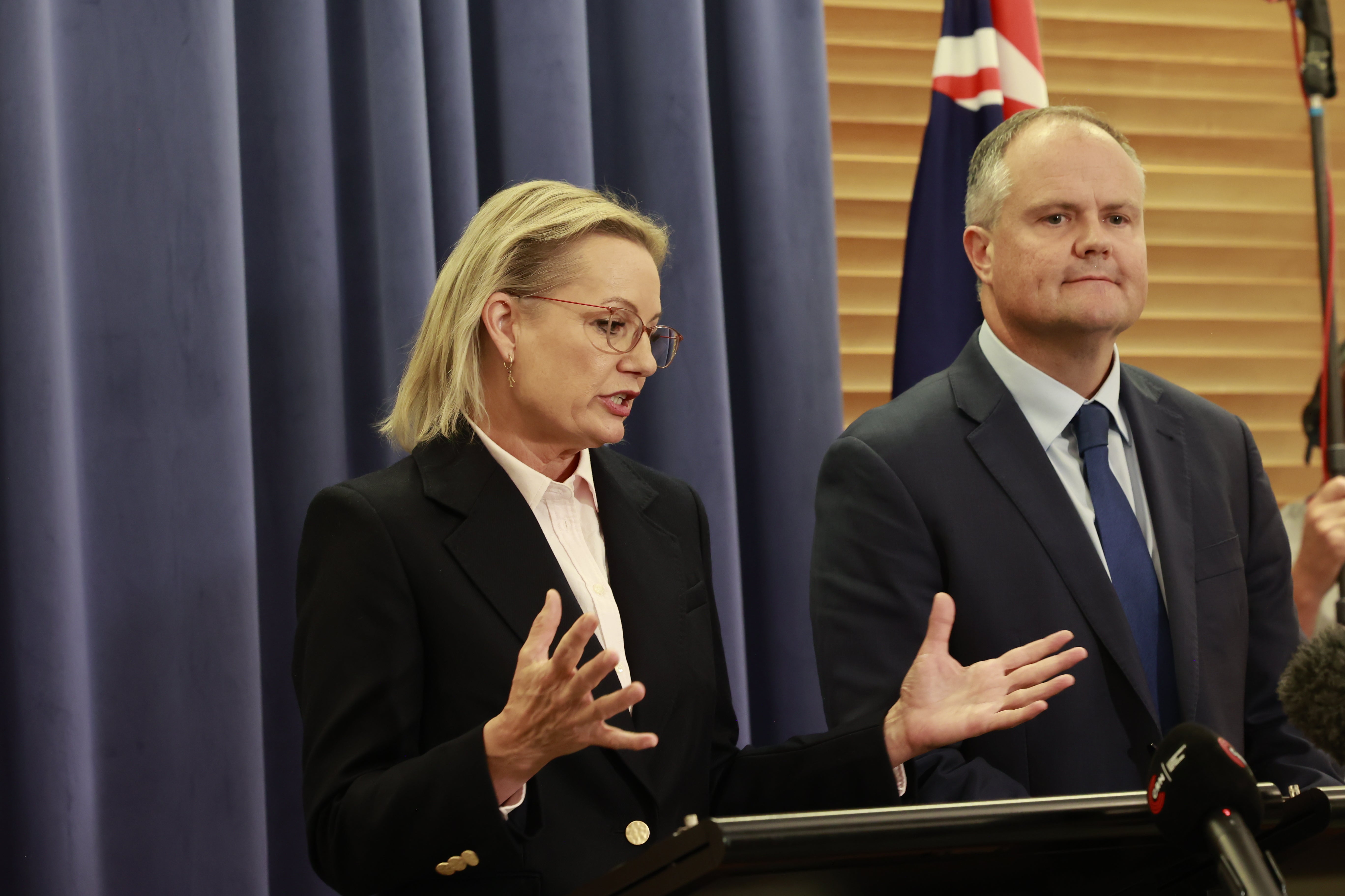 Leader of the Opposition Sussan Ley addresses the media at a press conference at Parliament House