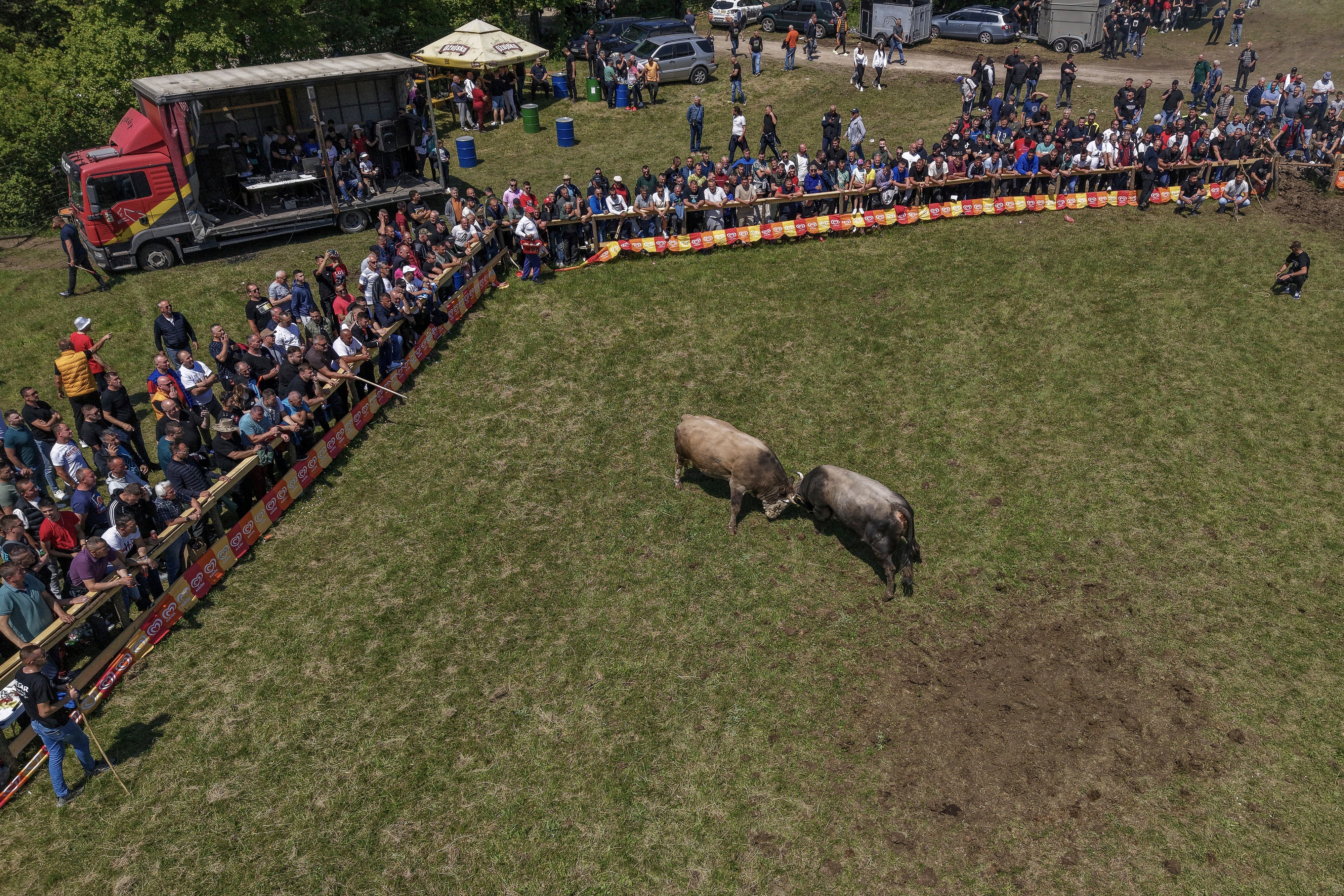 Bosnia Bullfighting Girl