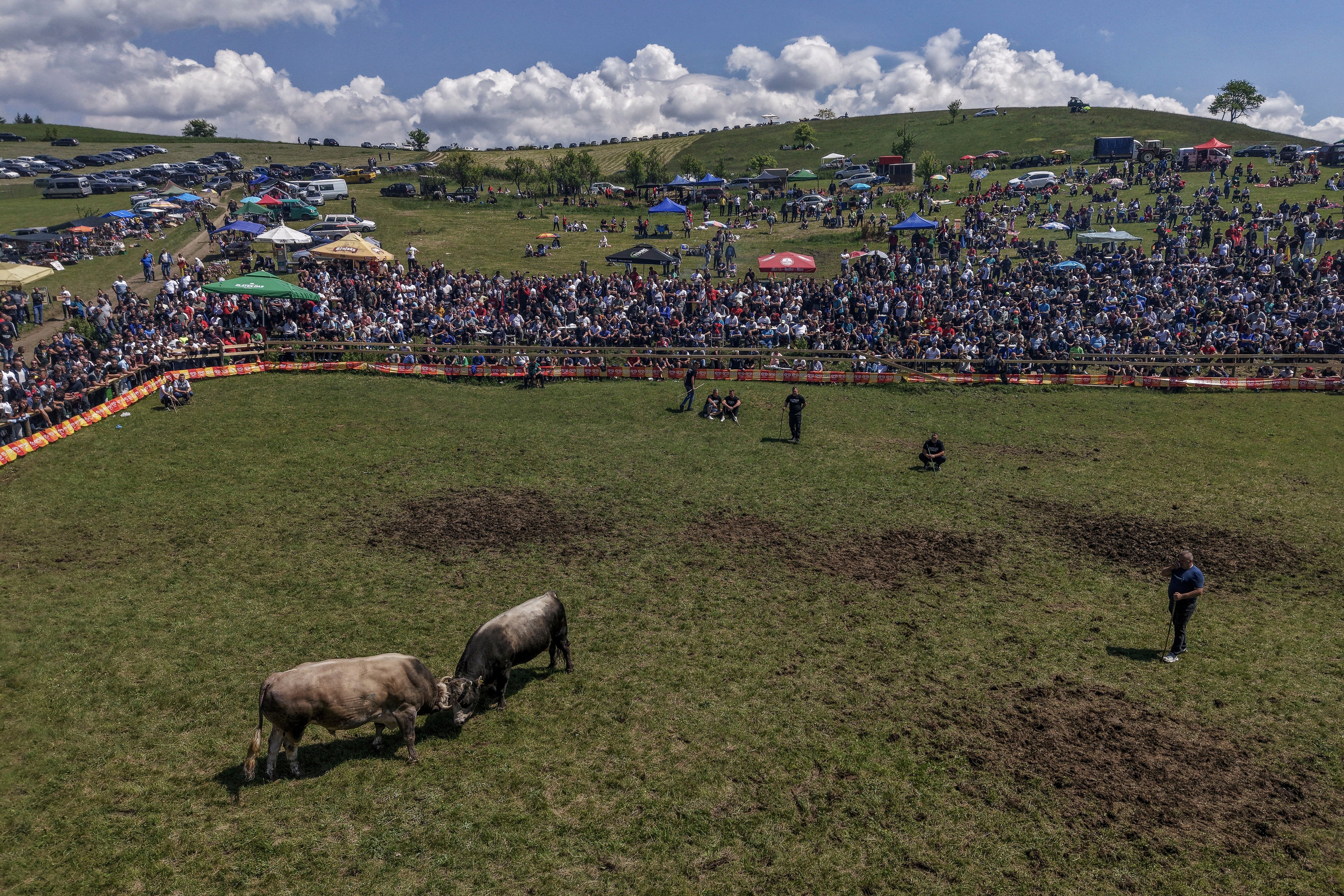 Bosnia Bullfighting Girl