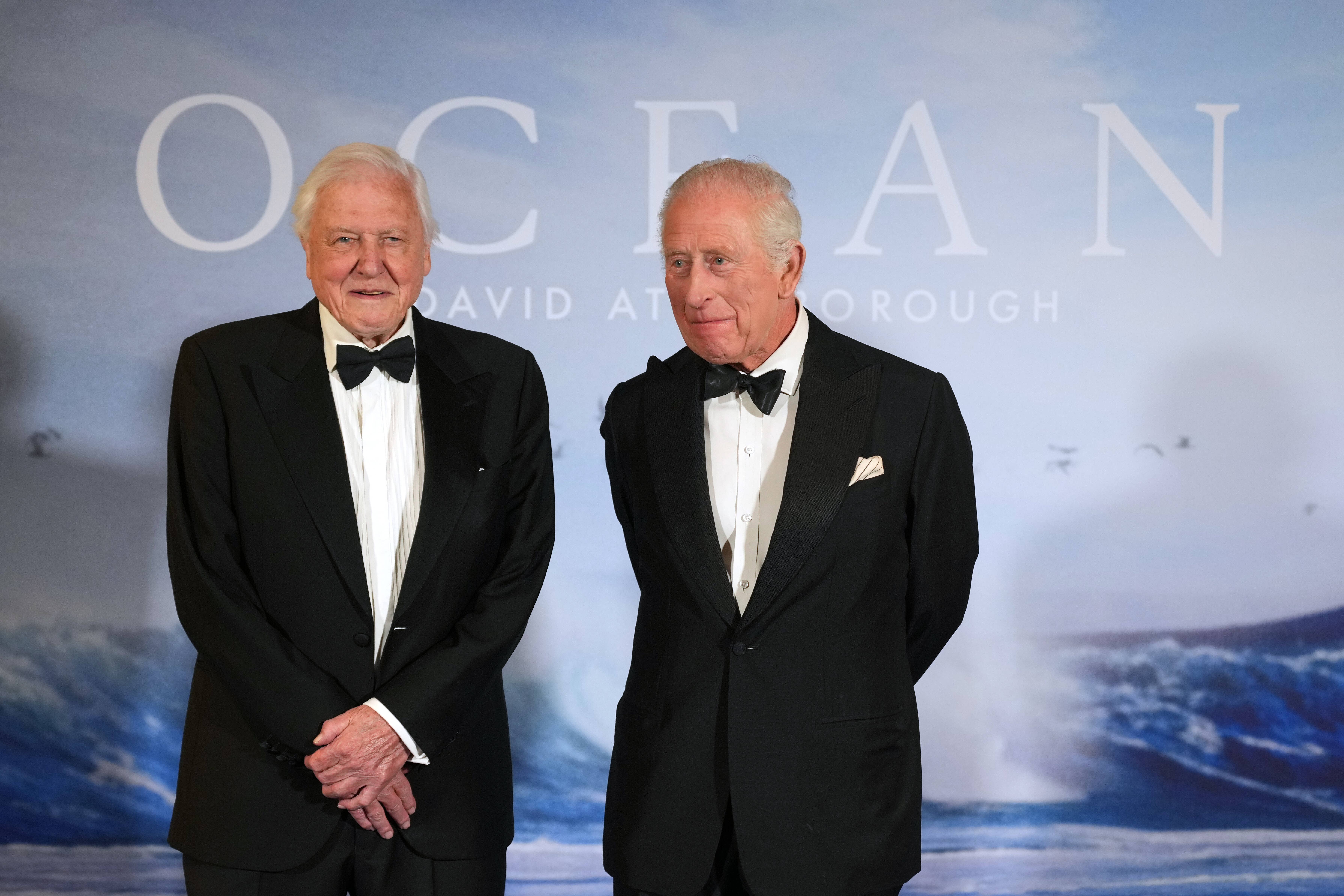 The King (right) meets David Attenborough as he attends the premiere of Ocean with David Attenborough (Alistair Grant/PA)