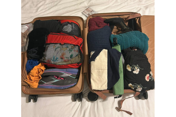 beis-carry-on-review-indybest