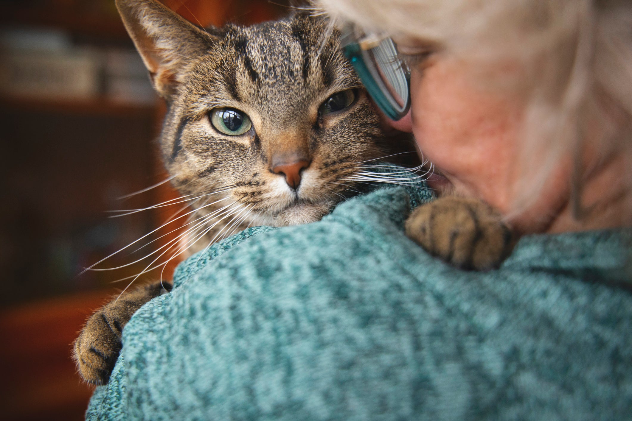 A global survey of 30,000 pet owners across 20 countries has uncovered the way cats and dogs impact human beings’ wellbeings.