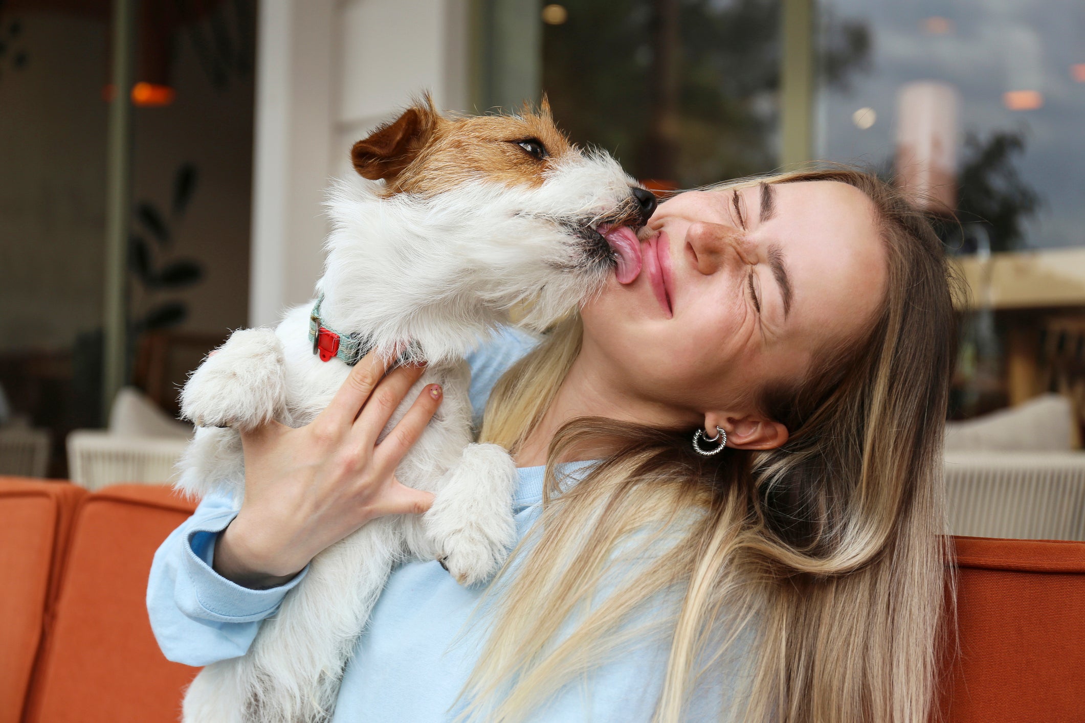 Almost eight in ten of those surveyed said their pet reminds them to pause and take a break from work, chores or tasks - with 50 per cent saying this happens daily.