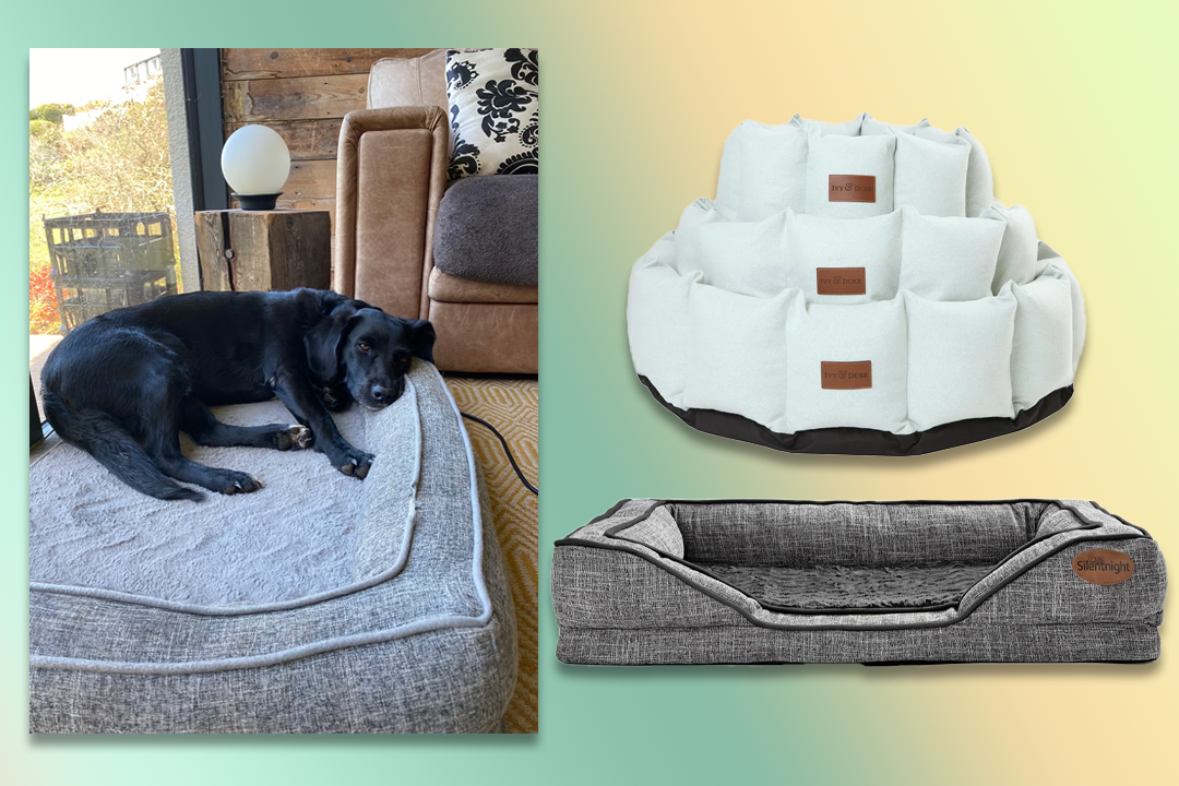 18 best dog beds that will keep four-legged friends cosy and comfortable