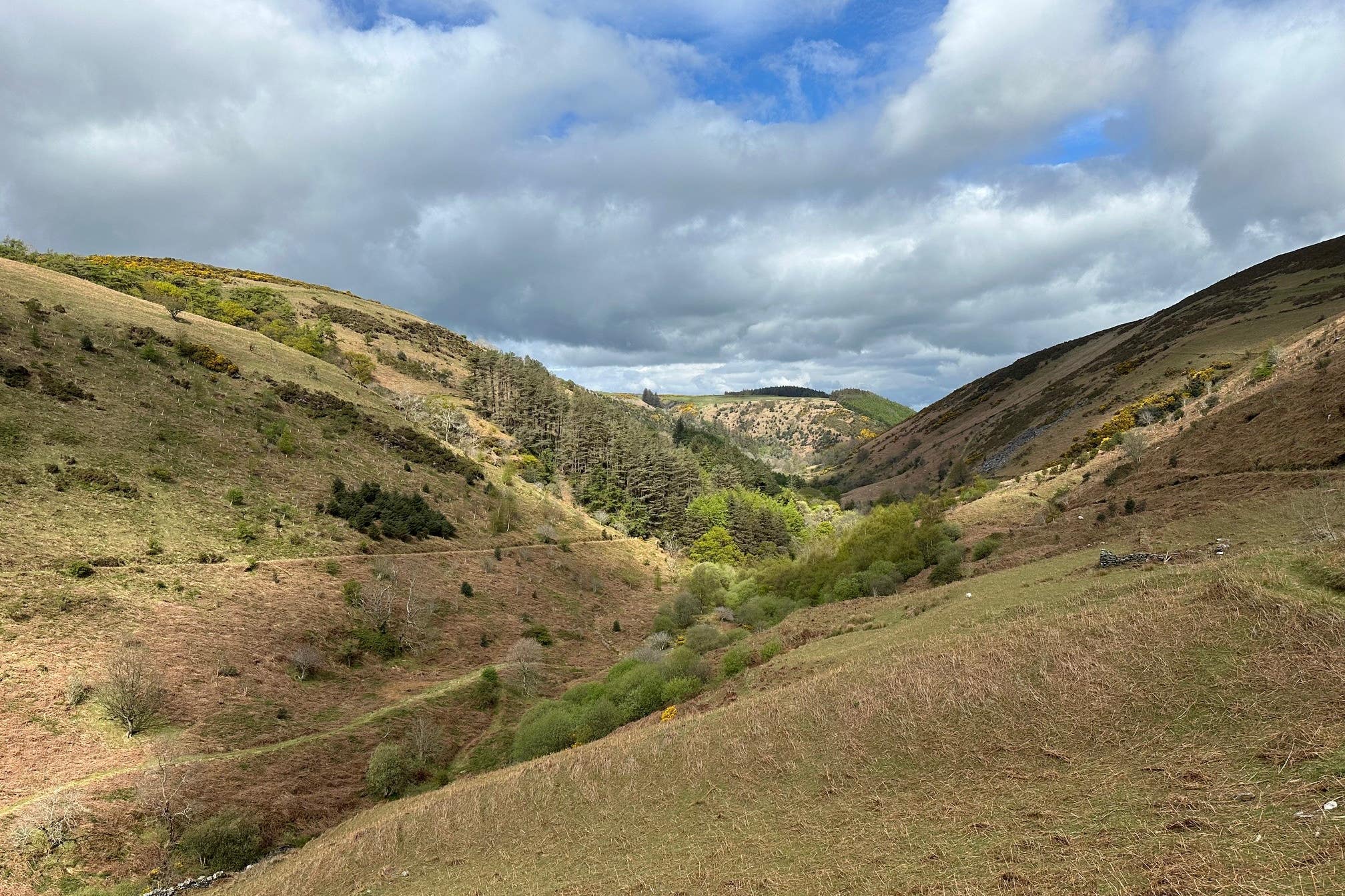Glen Auldyn where 750 acres of temperate rainfrorest will be restored ( Graham Makepeace-Warne/PA)