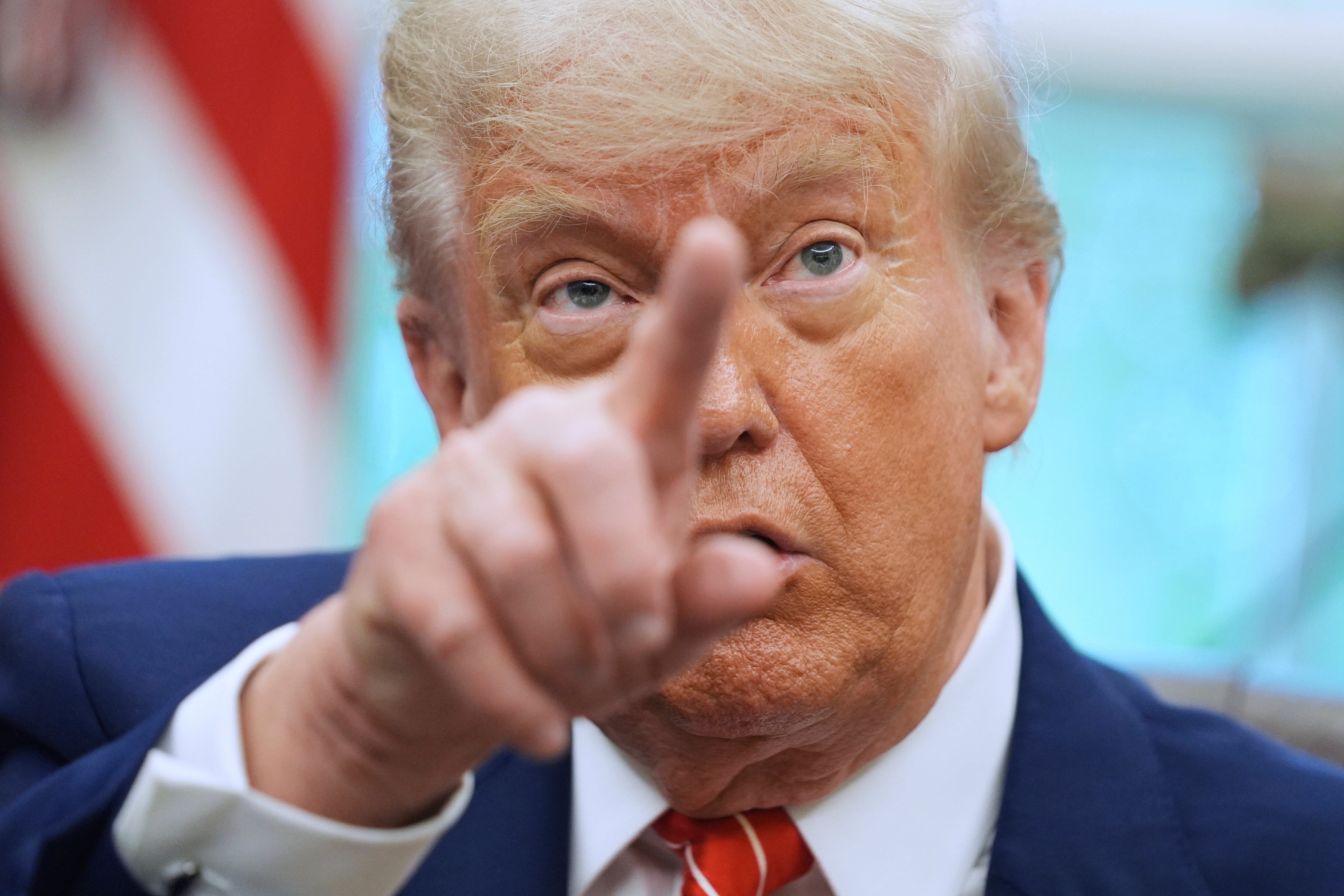 Immigrant Remittances