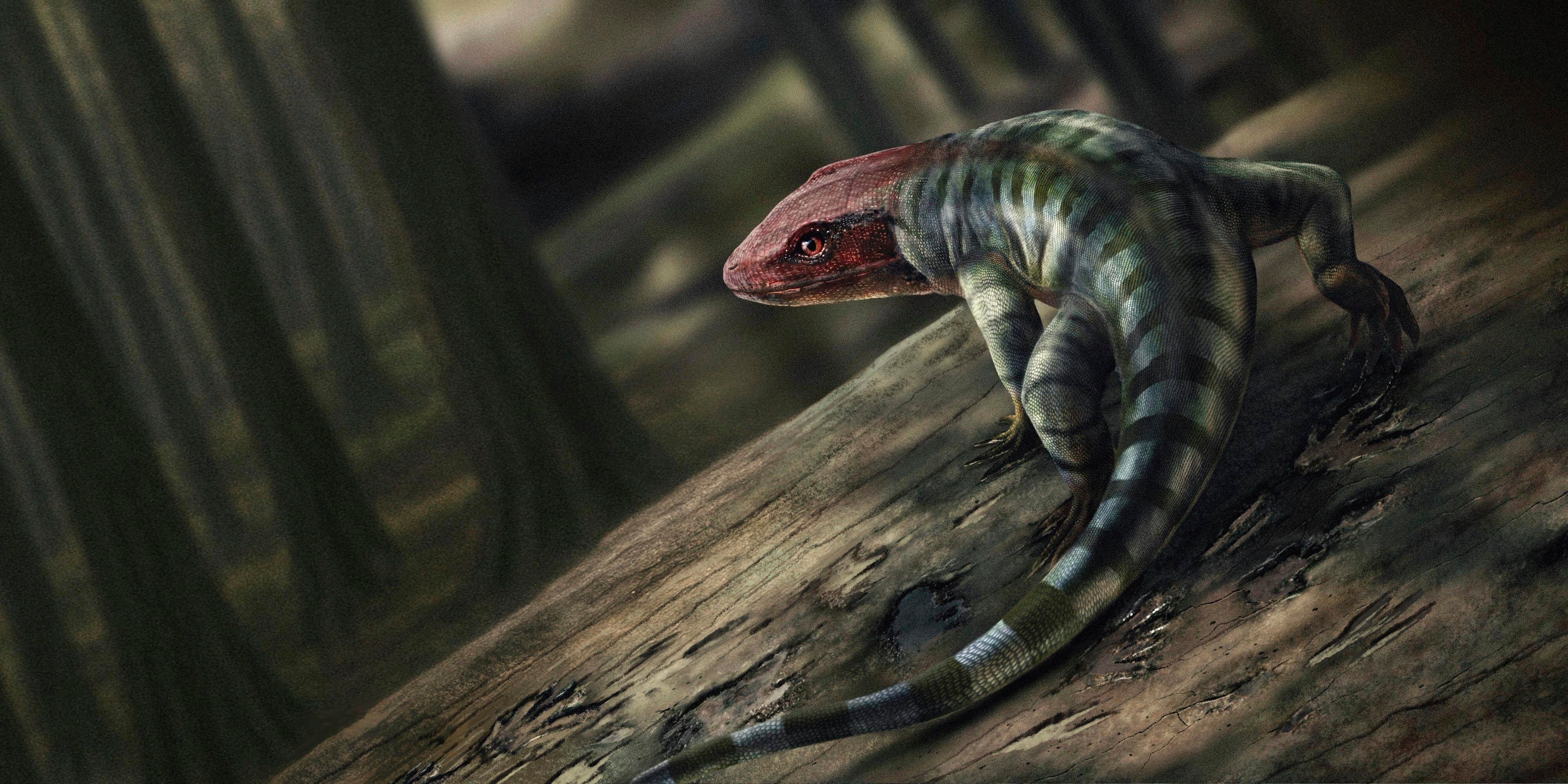 An artist's illustration of the possible appearance of a reptile-like creature that lived around 350 million years ago in what's now Australia