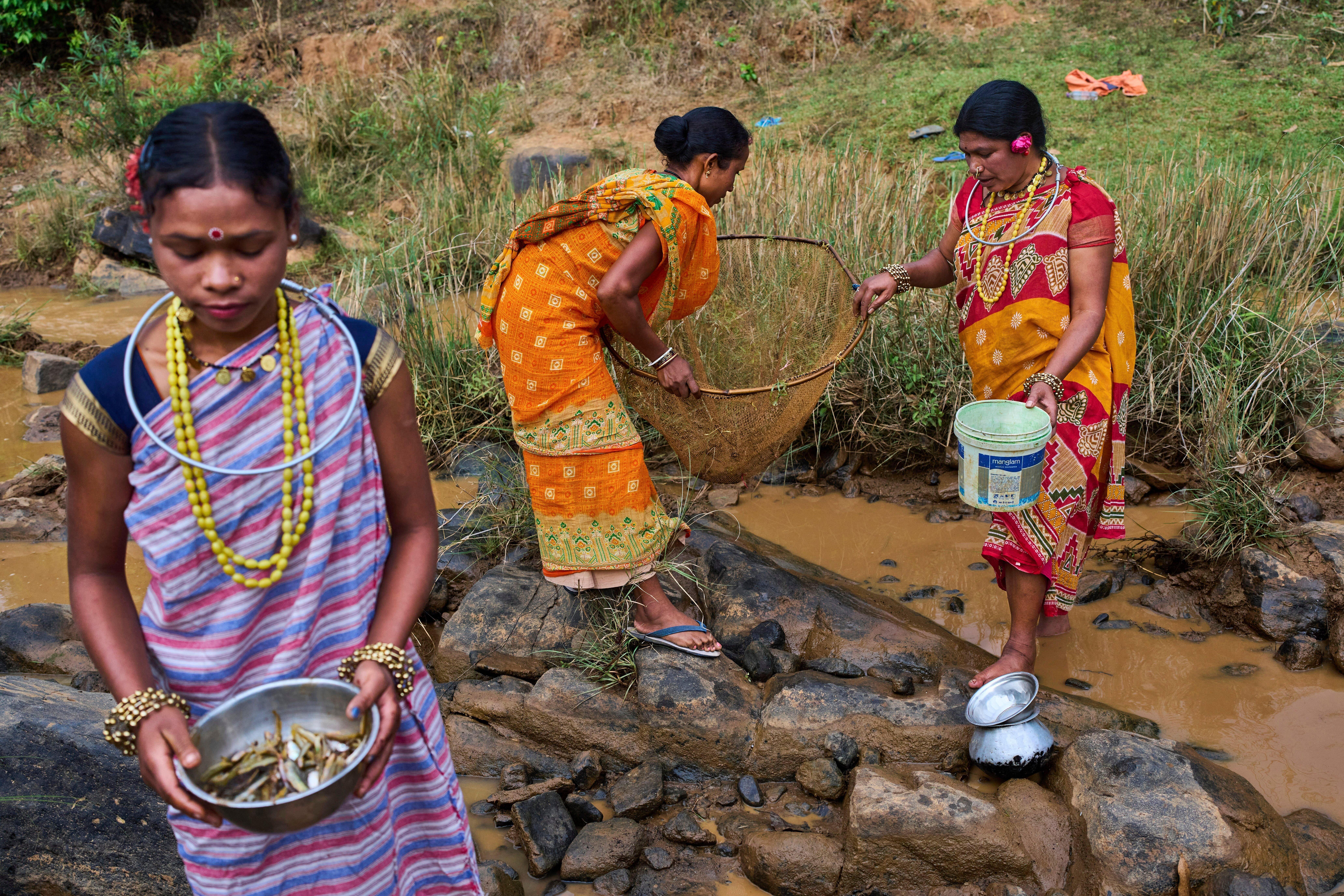 India Indigenous Women Farmers