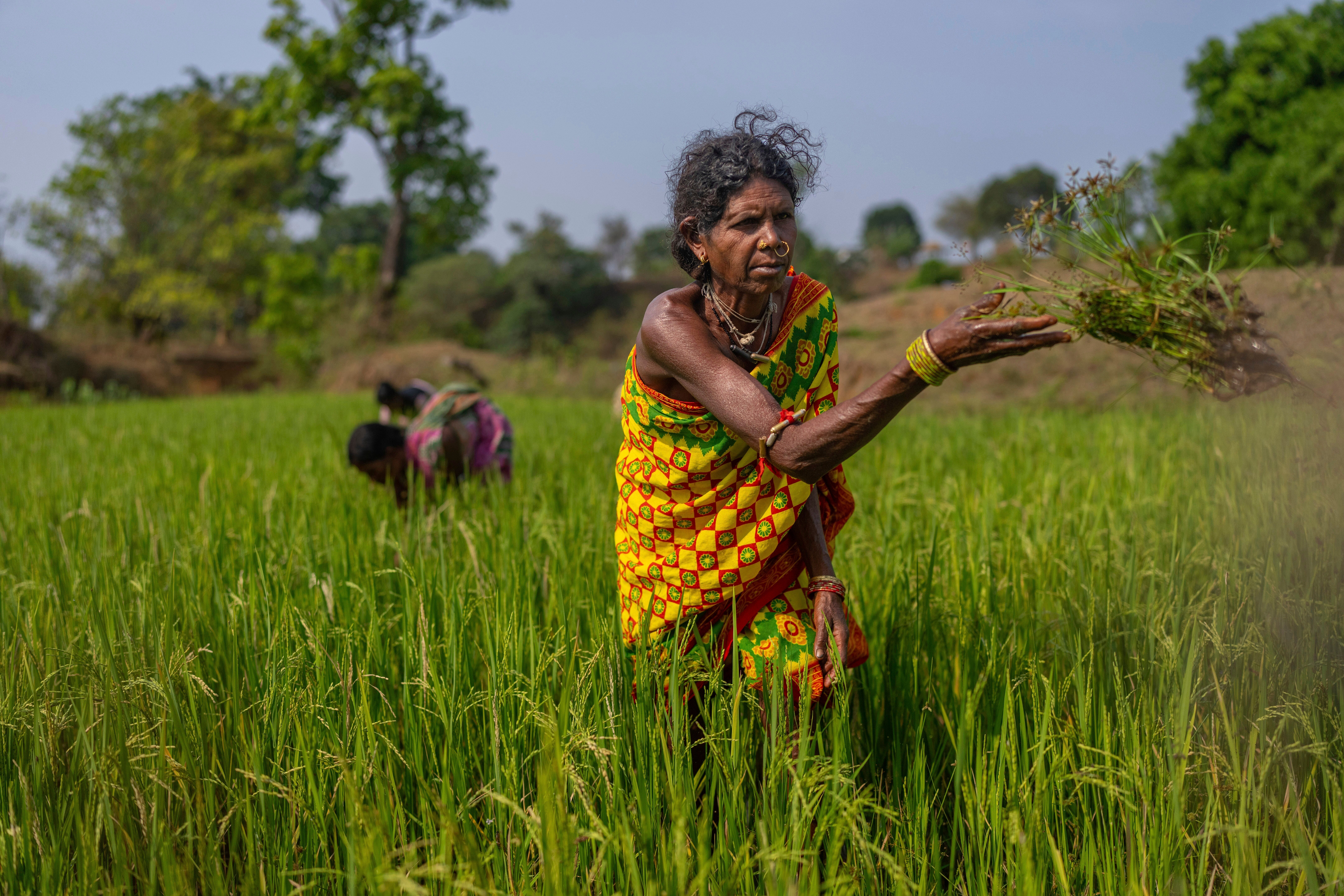 India Indigenous Women Farmers