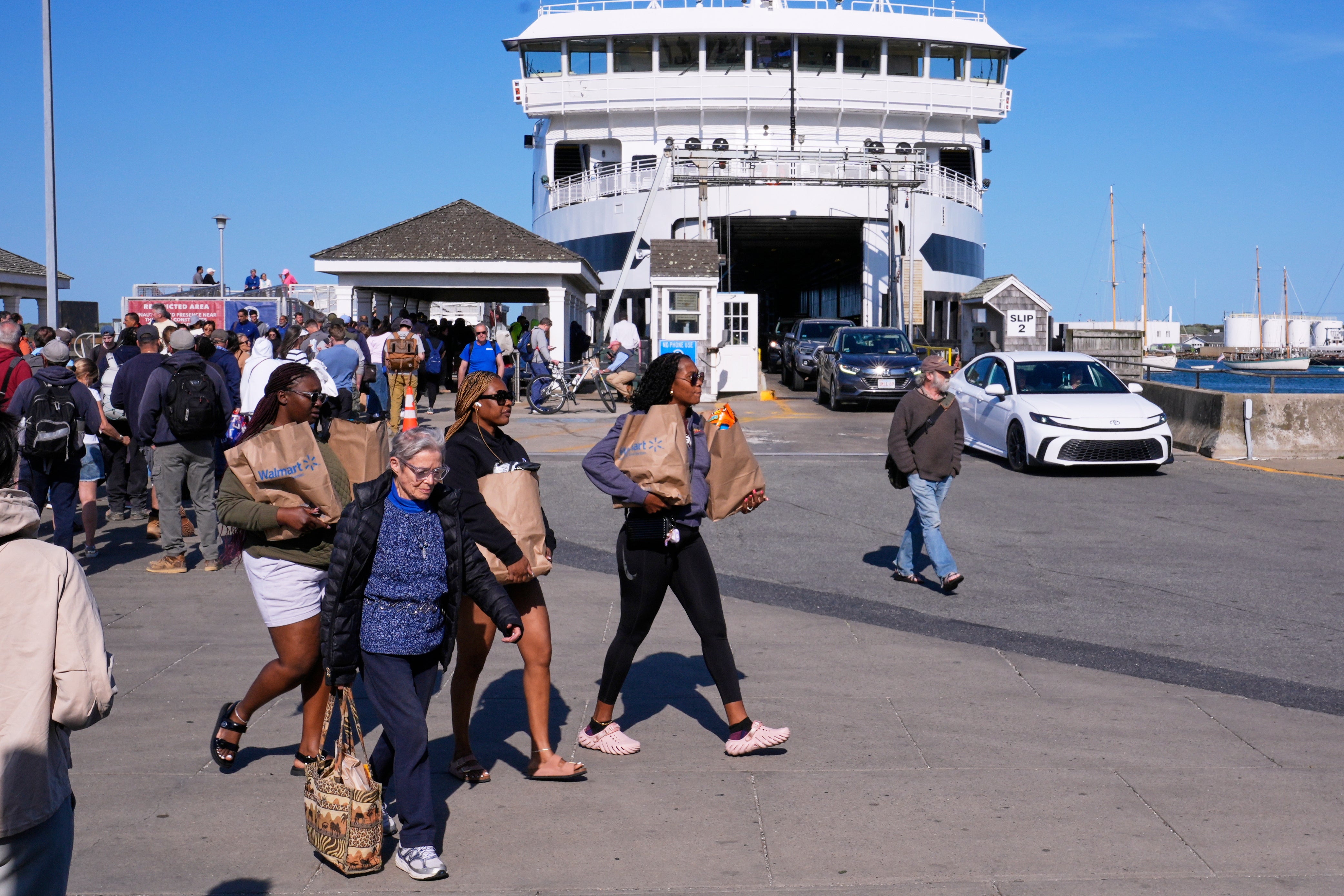 Jaws Anniversary Shark Swim