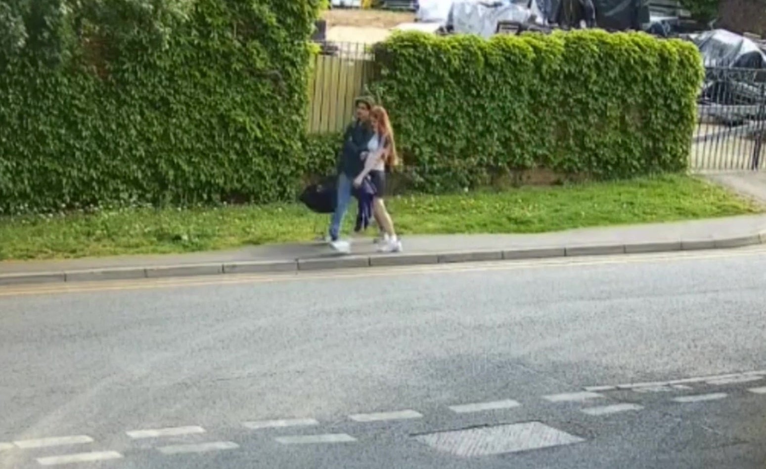 Metropolitan Police want to speak to these two teenagers after two kittens were tortured and killed in Ruislip