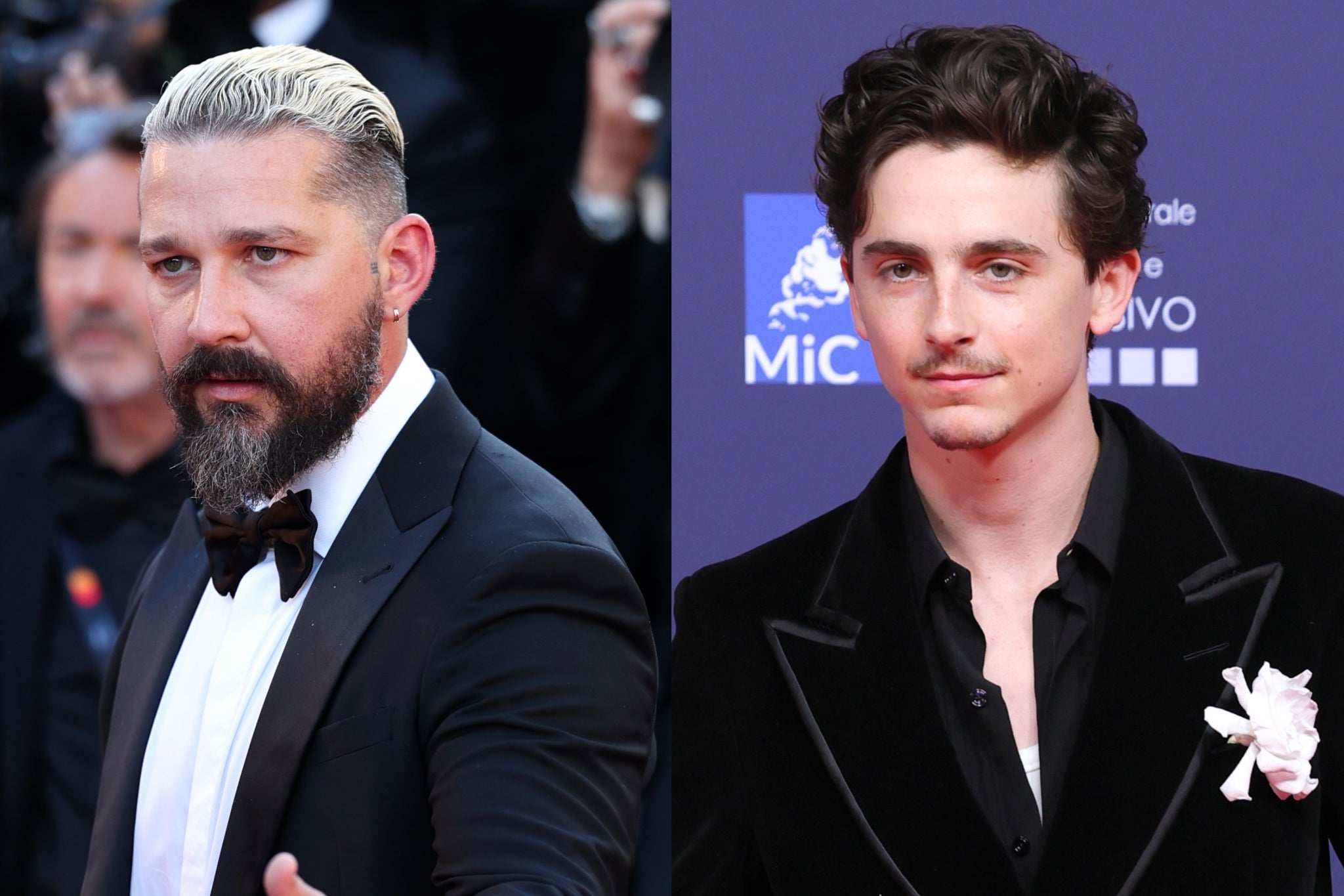Fans speculated that the ‘Holes’ star (left) had made a veiled dig at Chalamet in a May interview