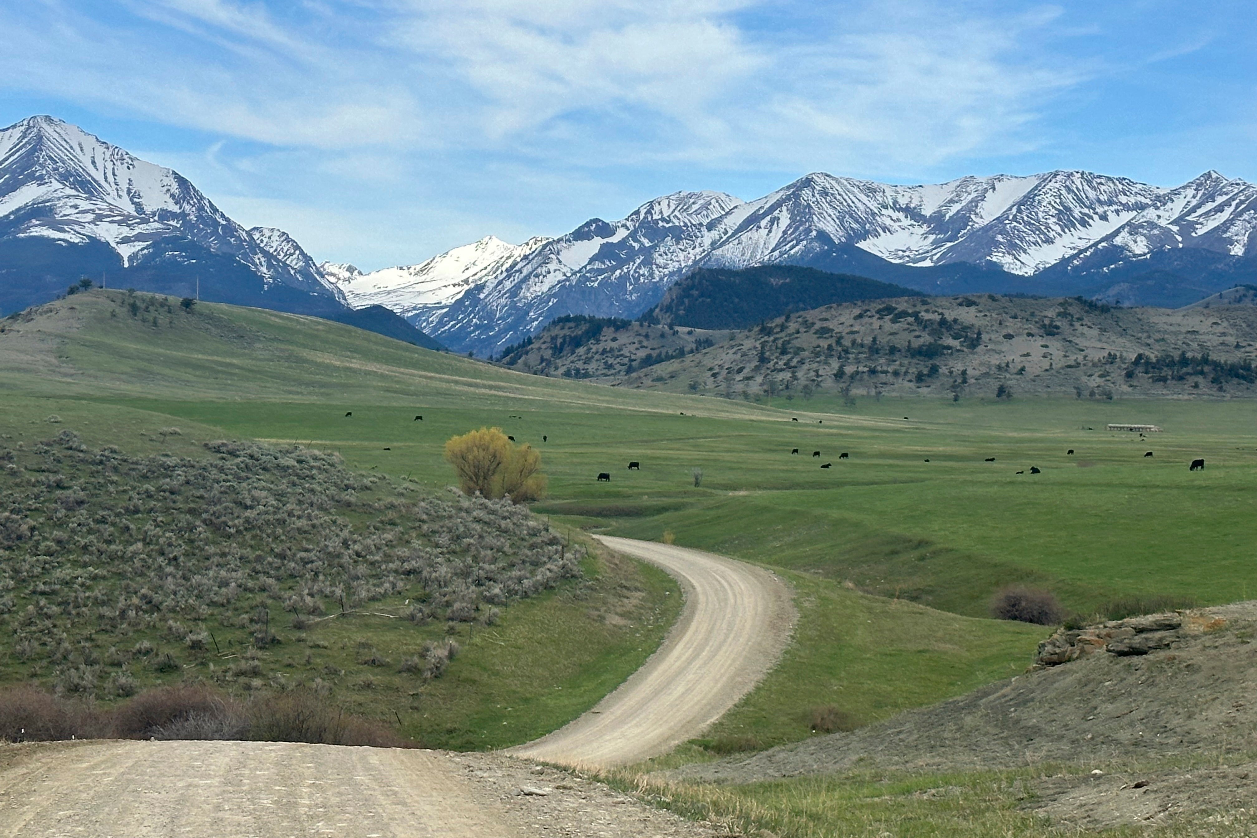 National Guard Helicopter Trespassing Antlers