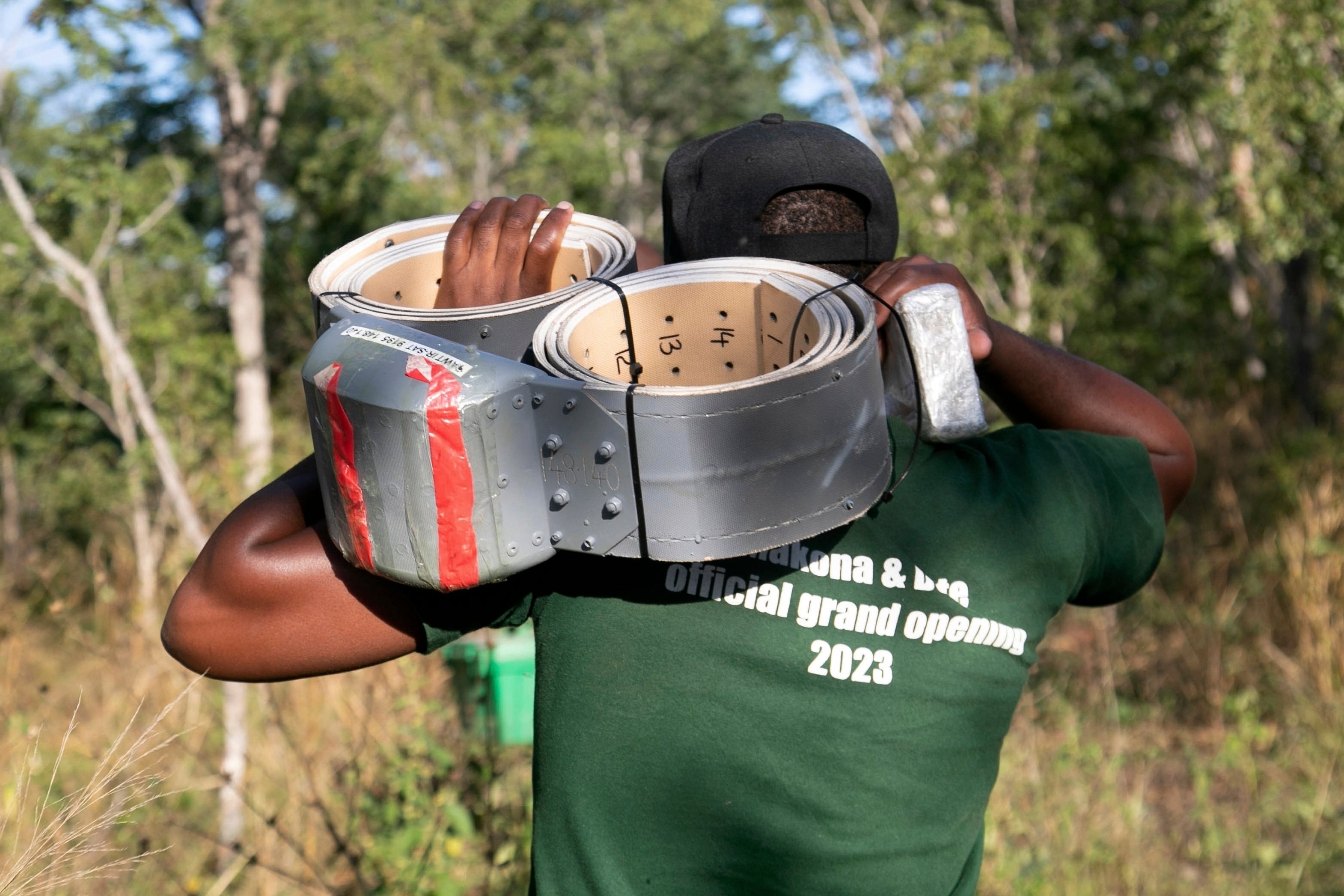Zimbabwe Parks and Wildlife Management Authority officer carries a collar to be used to track an in elephant in the Hwange National Park, Zimbabwe, Tuesday, April 29 2025. (AP Photo/Aaron Ufumeli)