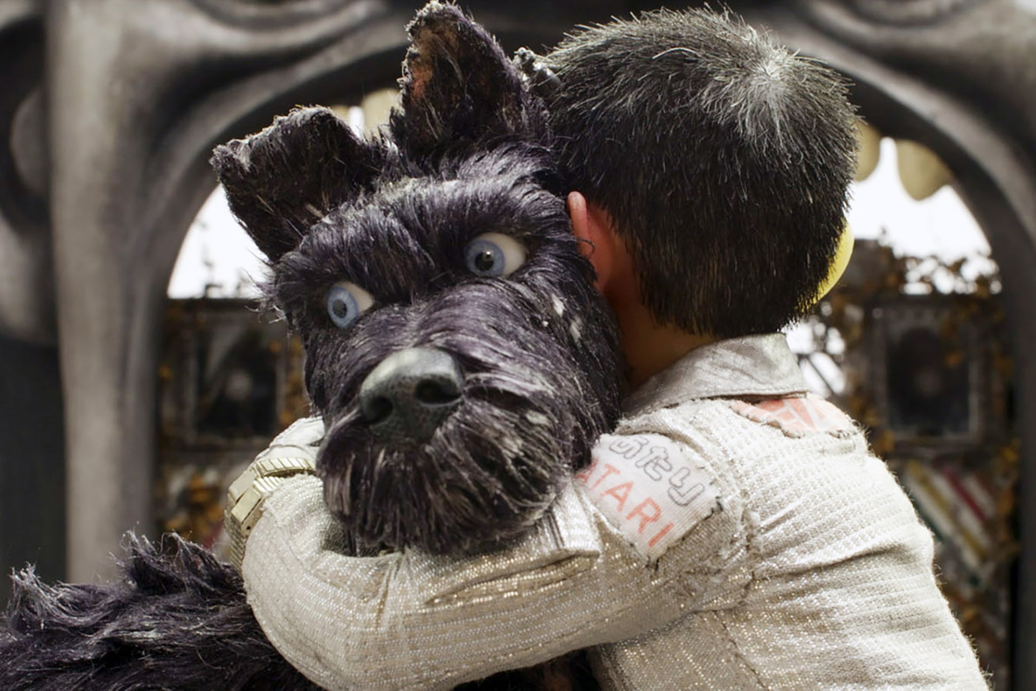 Chief and Atari (voiced by Bryan Cranston and Koyu Rankin) in ‘Isle of Dogs’