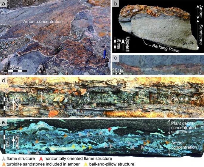The researchers looked at ancient ocean sediment and found possible evidence of tsunamis