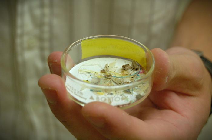 Larger plastic fragments and other debris were pulled from sediment samples taken from bays along the Texas coast. There are trillions of particles in our oceans