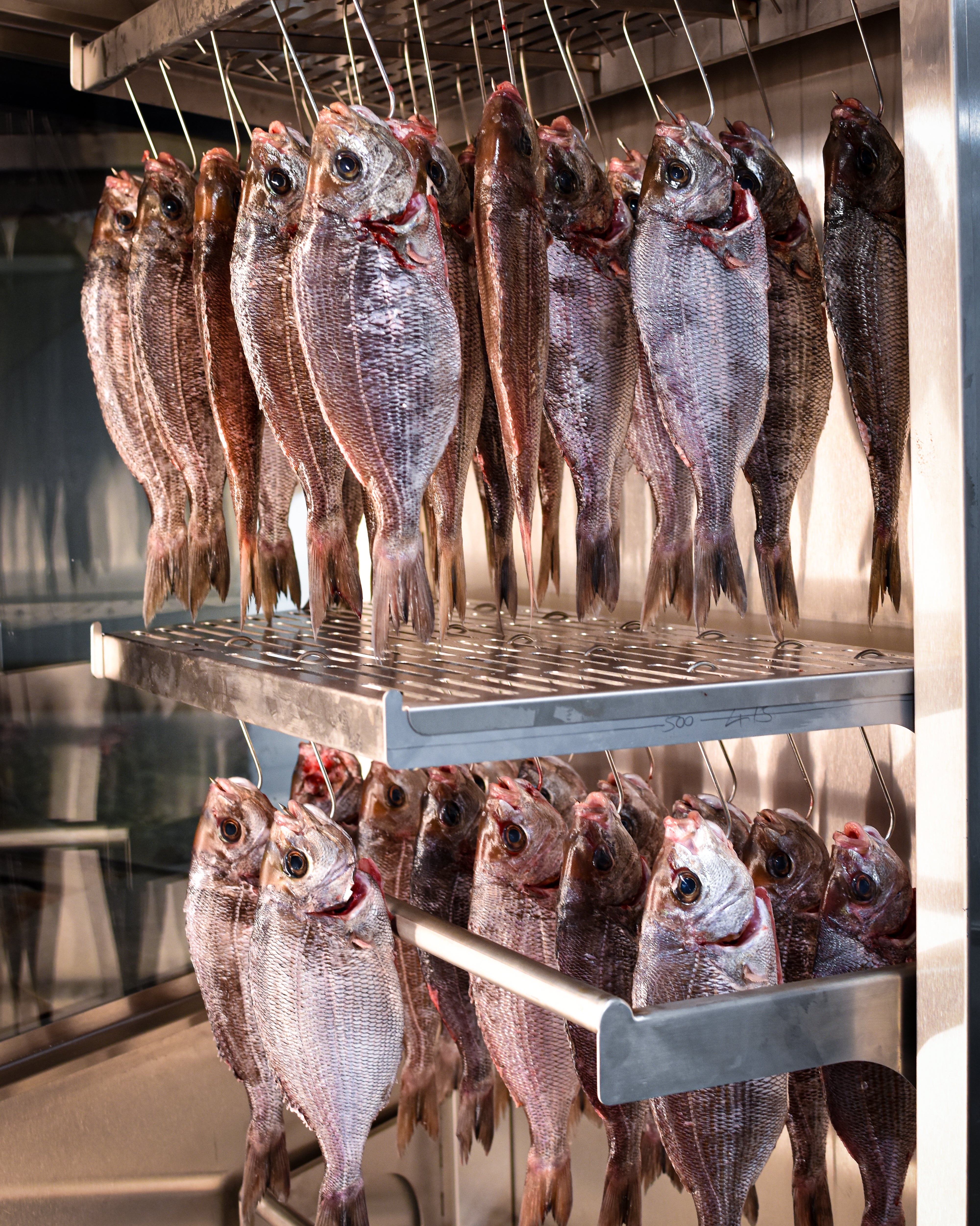From hook to kitchen – Catch keeps its seafood close, and its suppliers closer