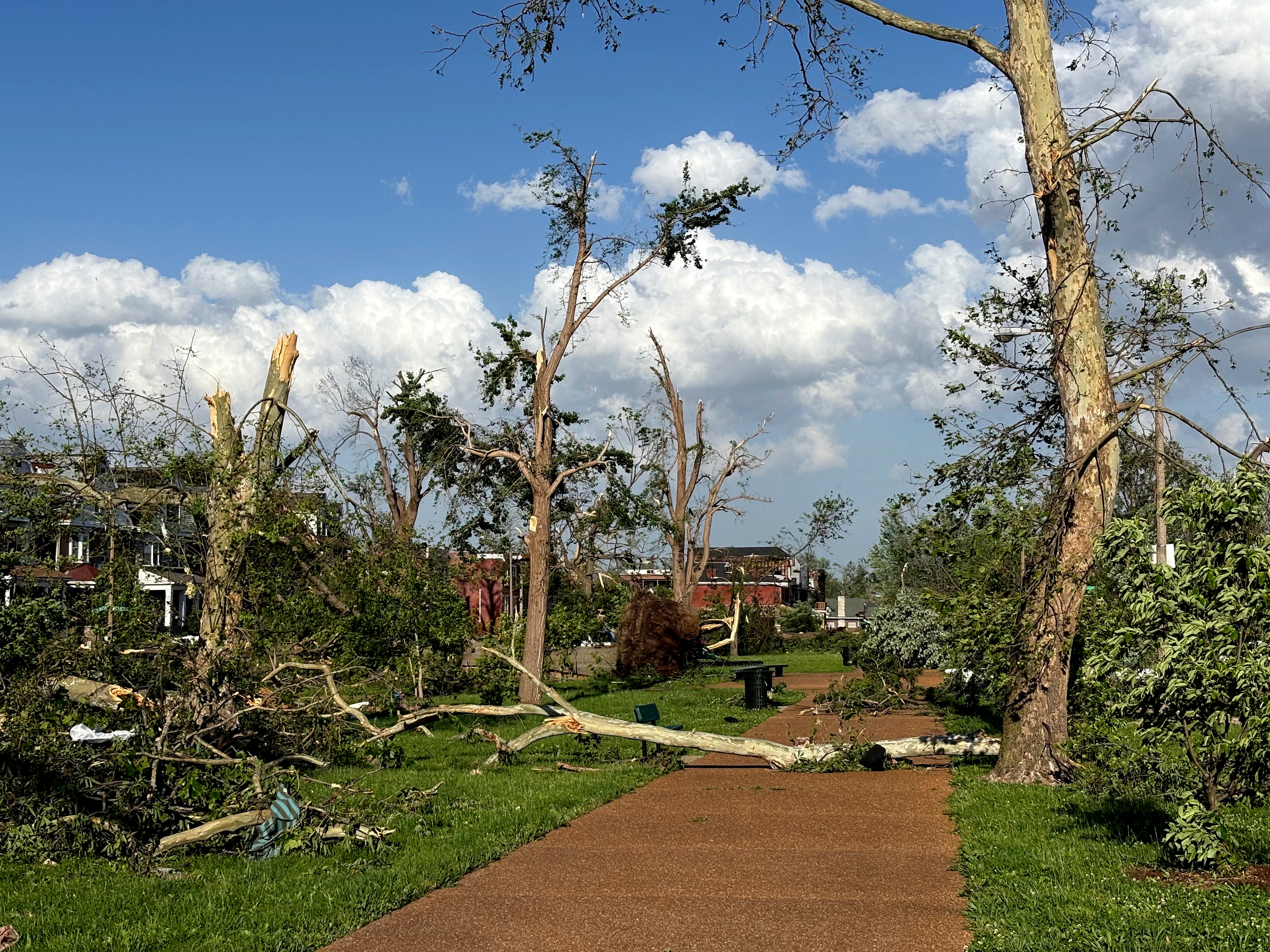 Damage and fallen trees in St. Louis
