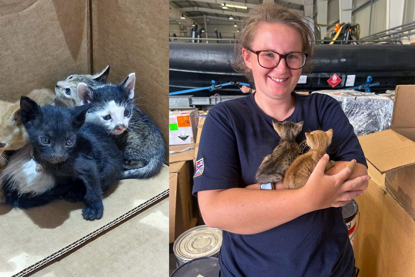 Royal Navy personnel hand-fed and reared the kittens (Royal Navy/PA)