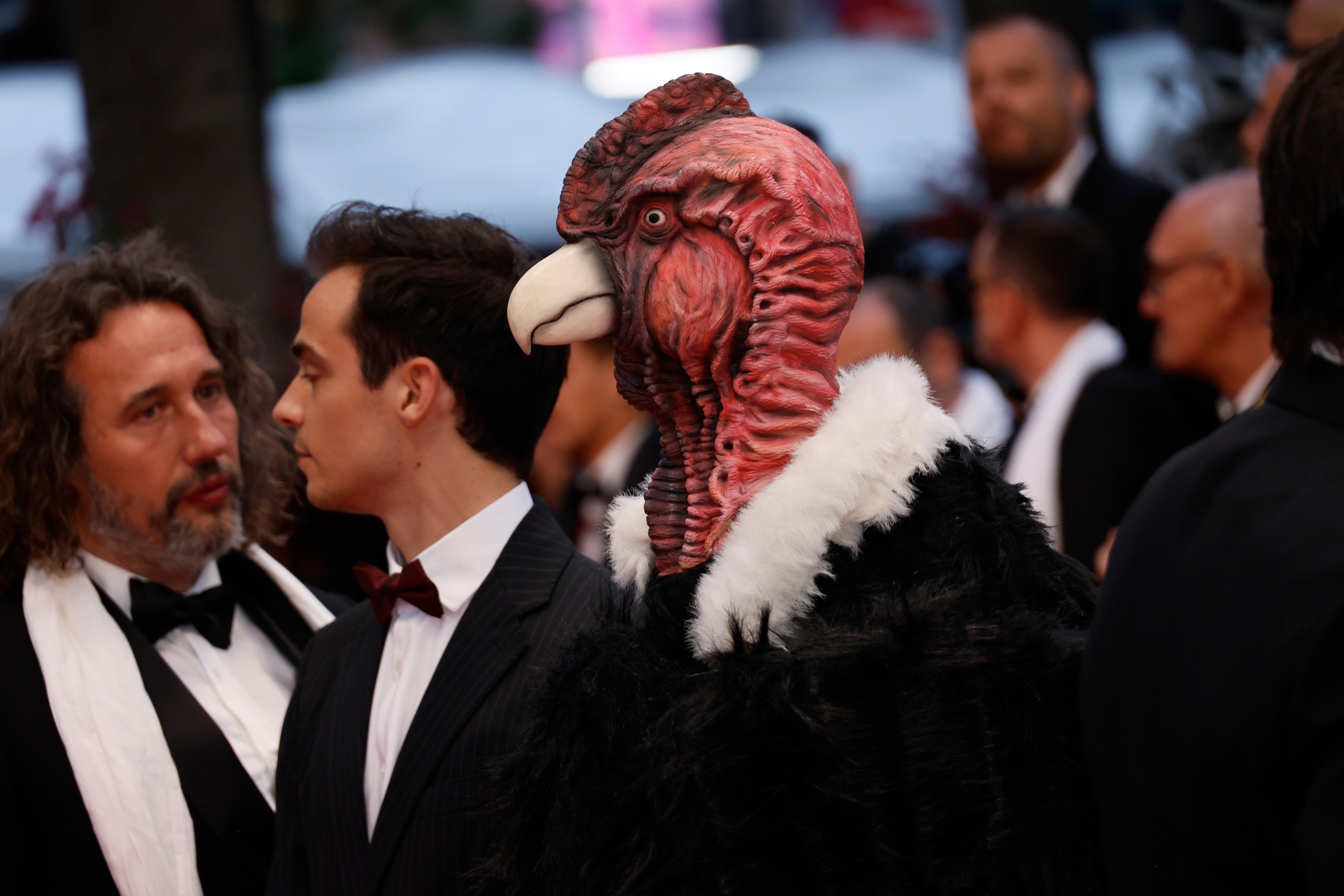 France Cannes 2025 Die, My Love Red Carpet