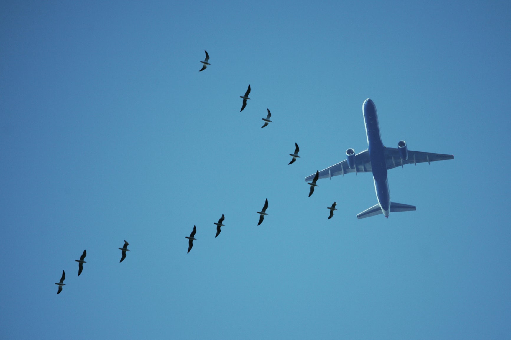 The suite will be able to predict the impact of space weather on aviation