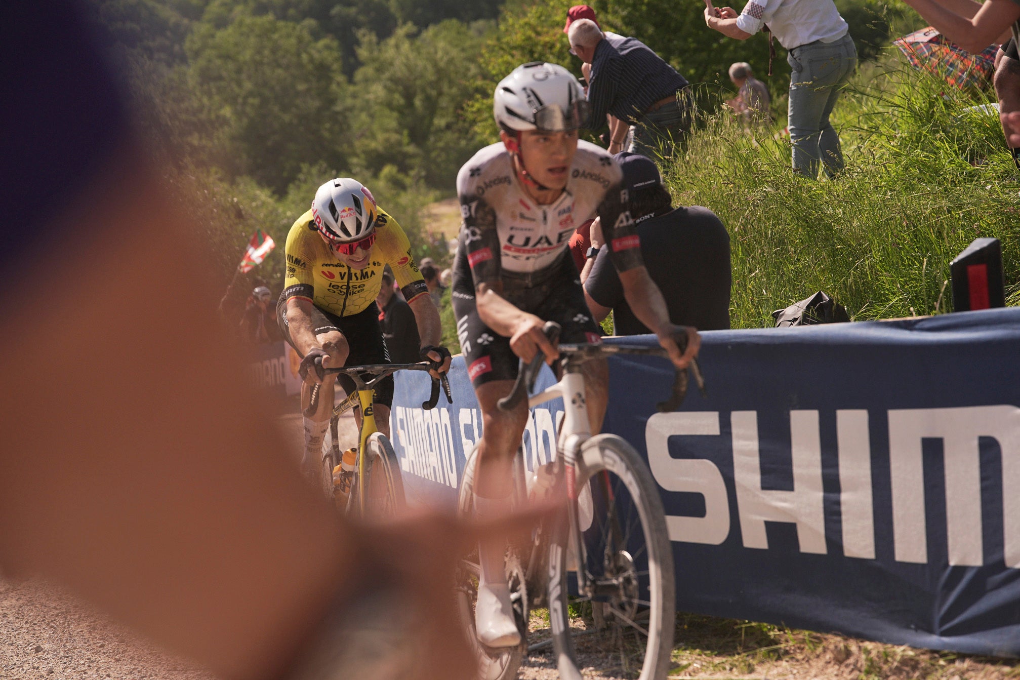 Wout van Aert secured victory in stage nine of the Giro d’Italia
