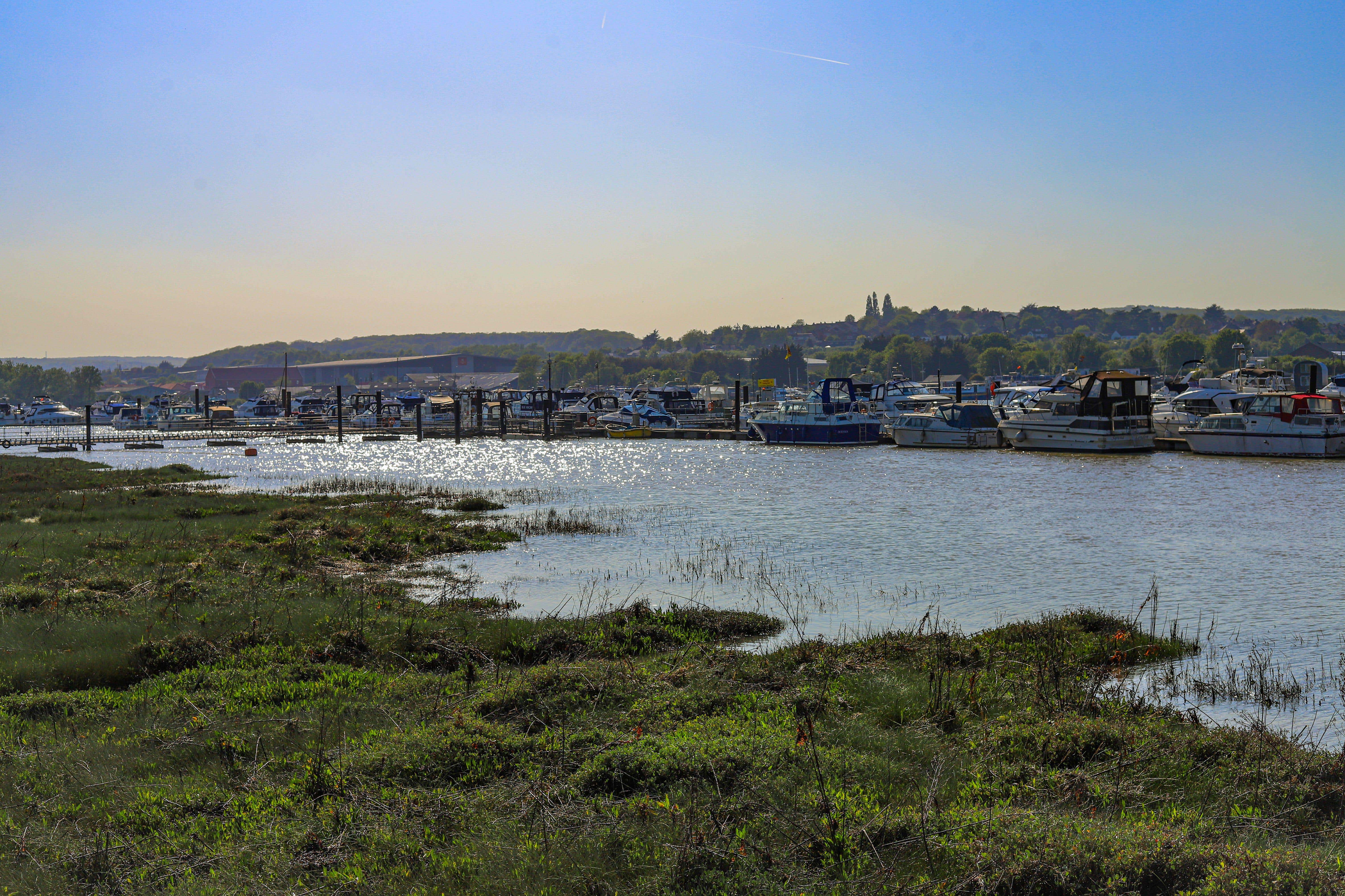 Important habitats are at risk of being lost in estuaries such as the Medway, research warns (PA)