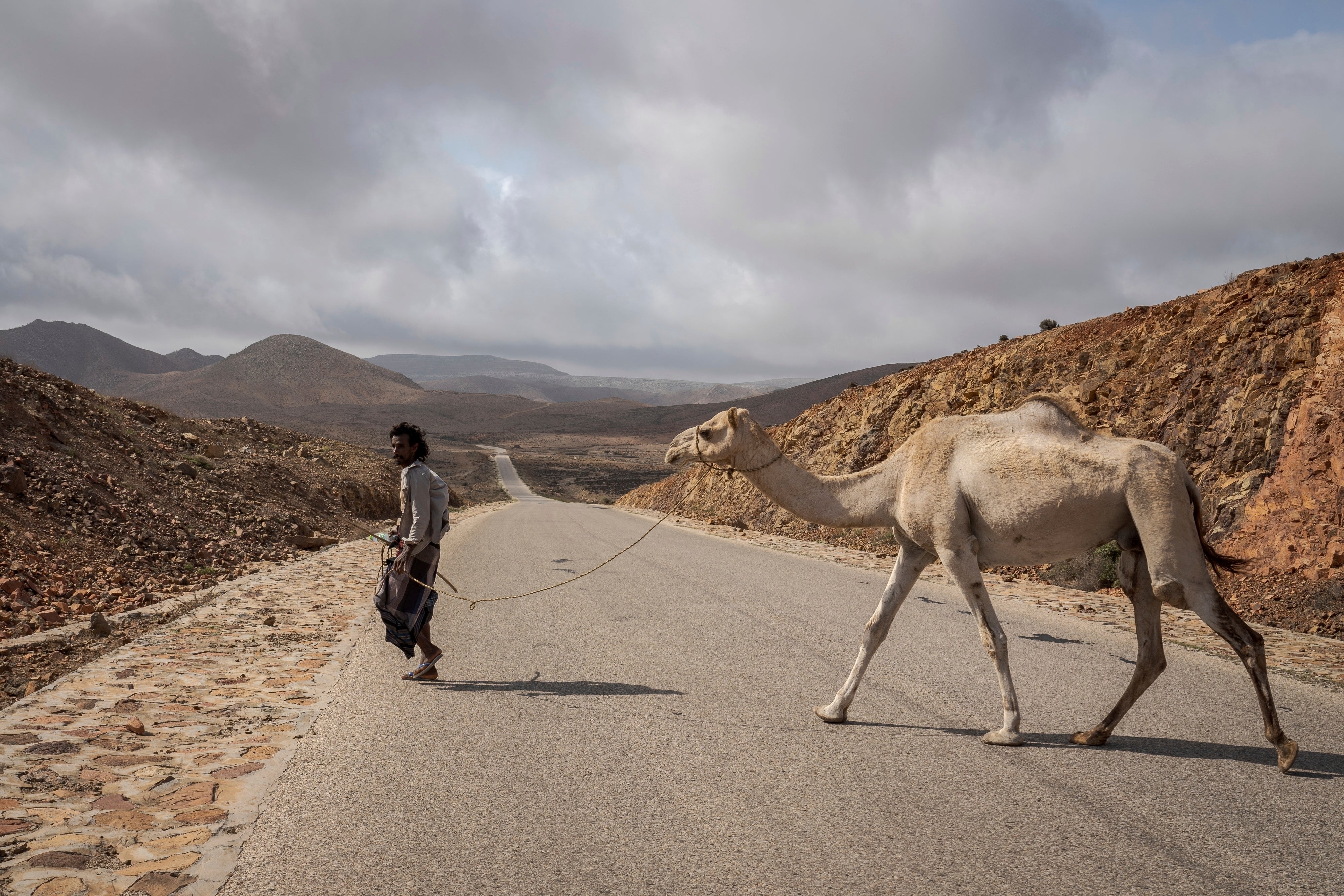 A camel herder crosses the road on the Yemeni island of Socotra on Sept. 23, 2024. (AP Photo/Annika Hammerschlag)