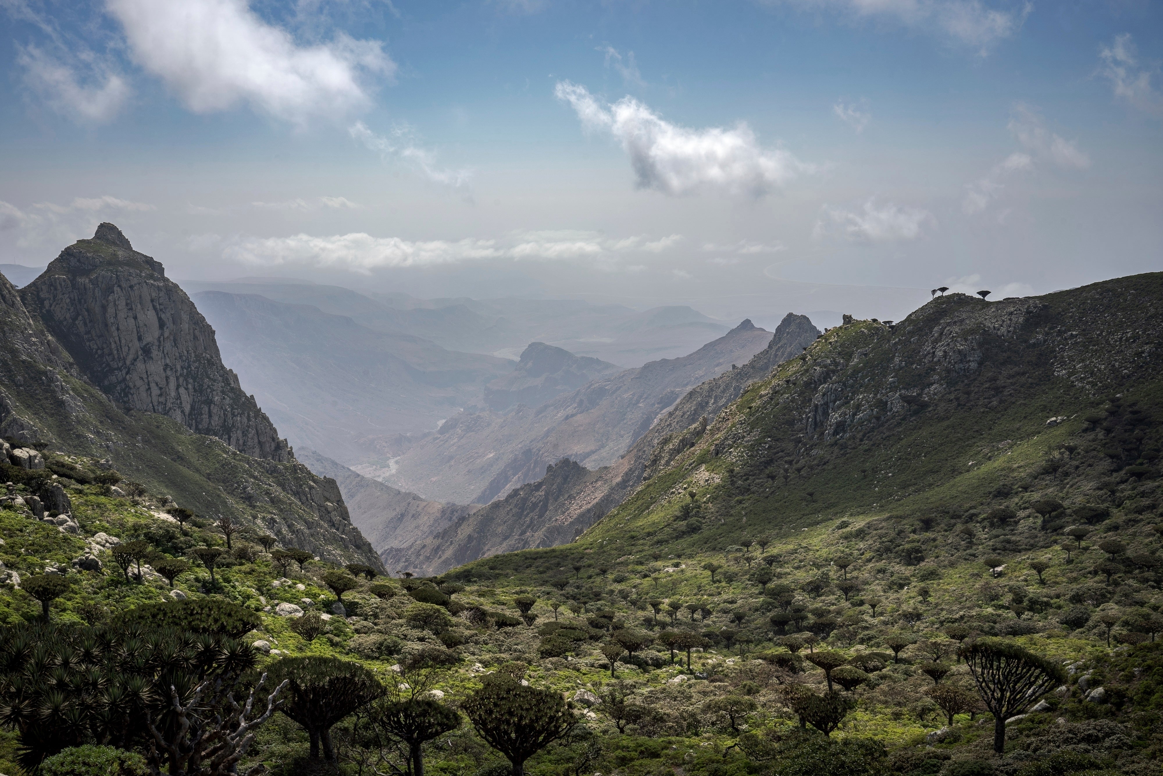 Socotra is a Unesco heritage site in the Indian Ocean