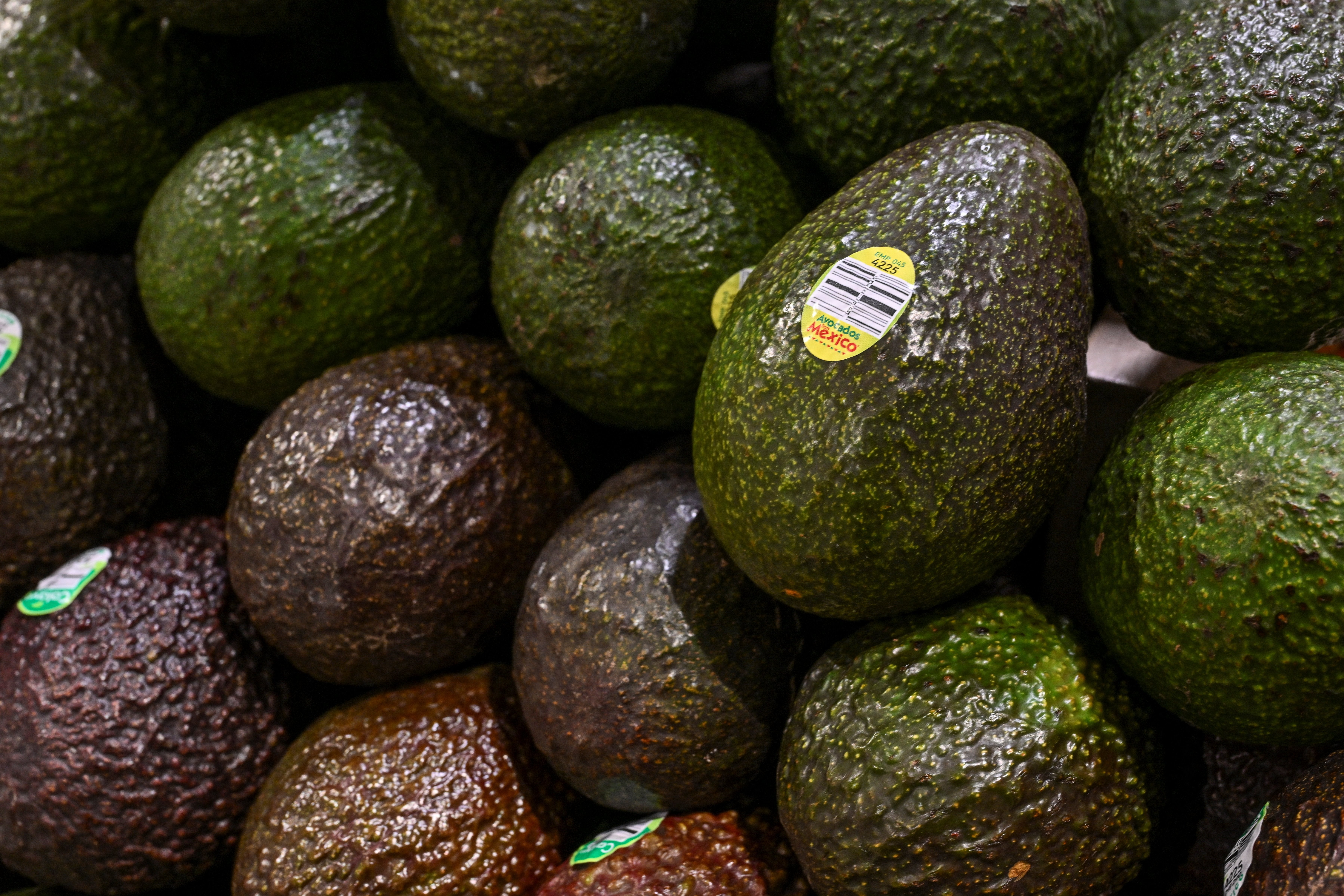 Avocados are in the laurel family, the same group of plants that includes bay leaves and cinnamon
