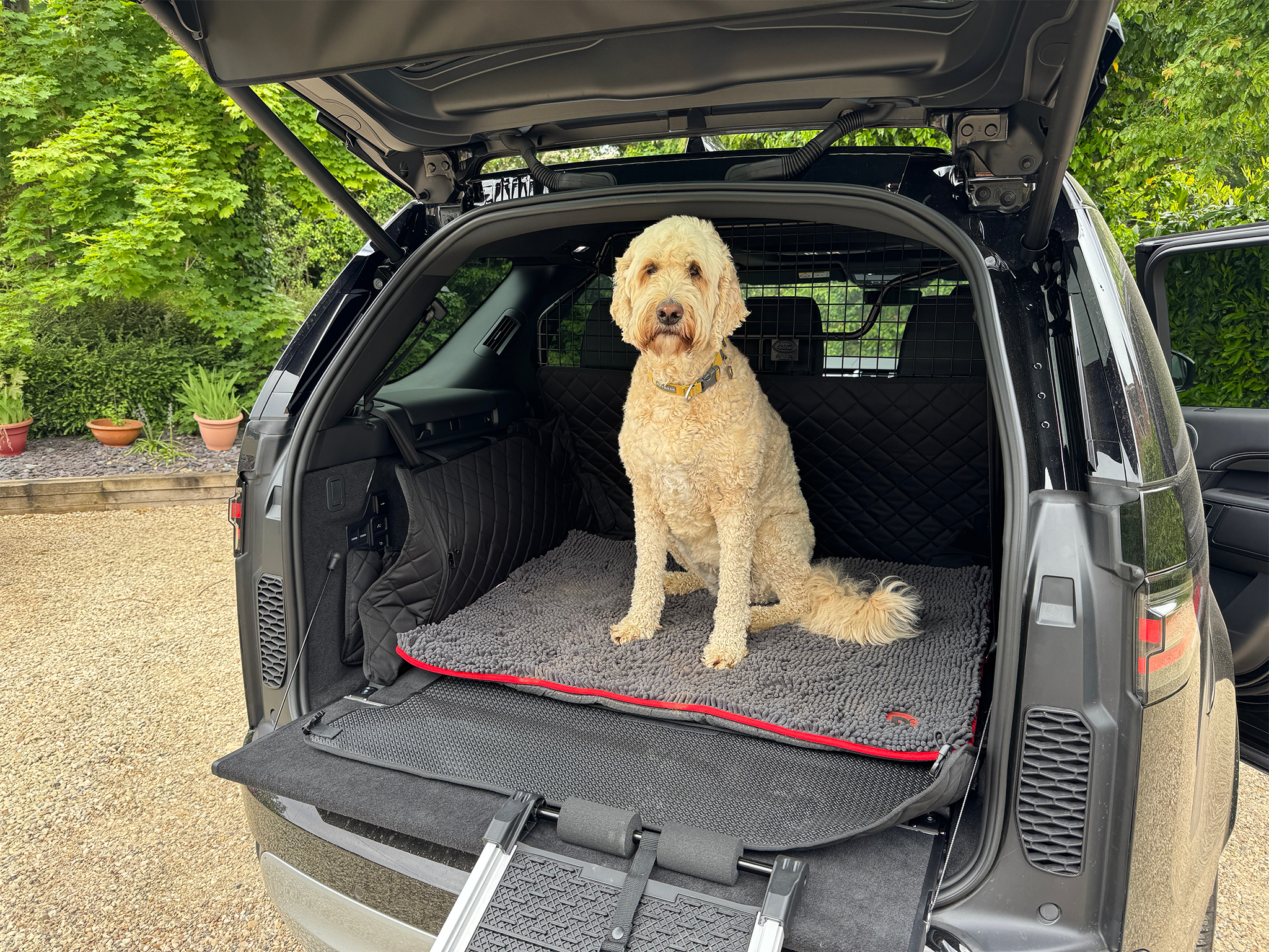 Goldendoodle Sky giving some serious consideration to the dog-friendly boot of the Land Rover Discovery