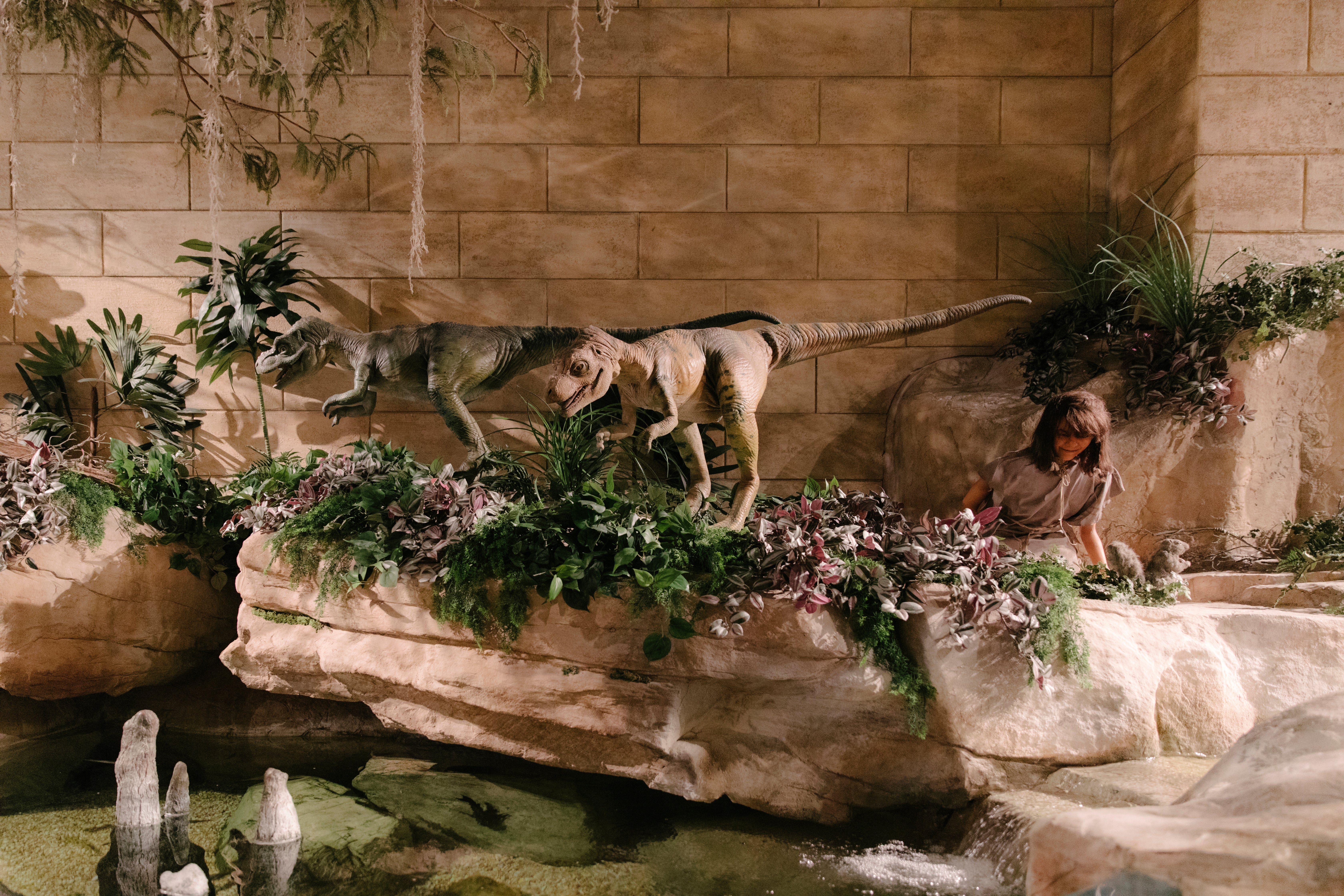 Scopes Trial Creationism Today