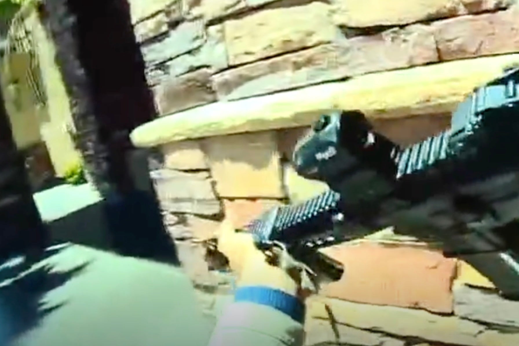 Ortega fired a total of 24 rounds before three responding officers shot him six times, killing him.