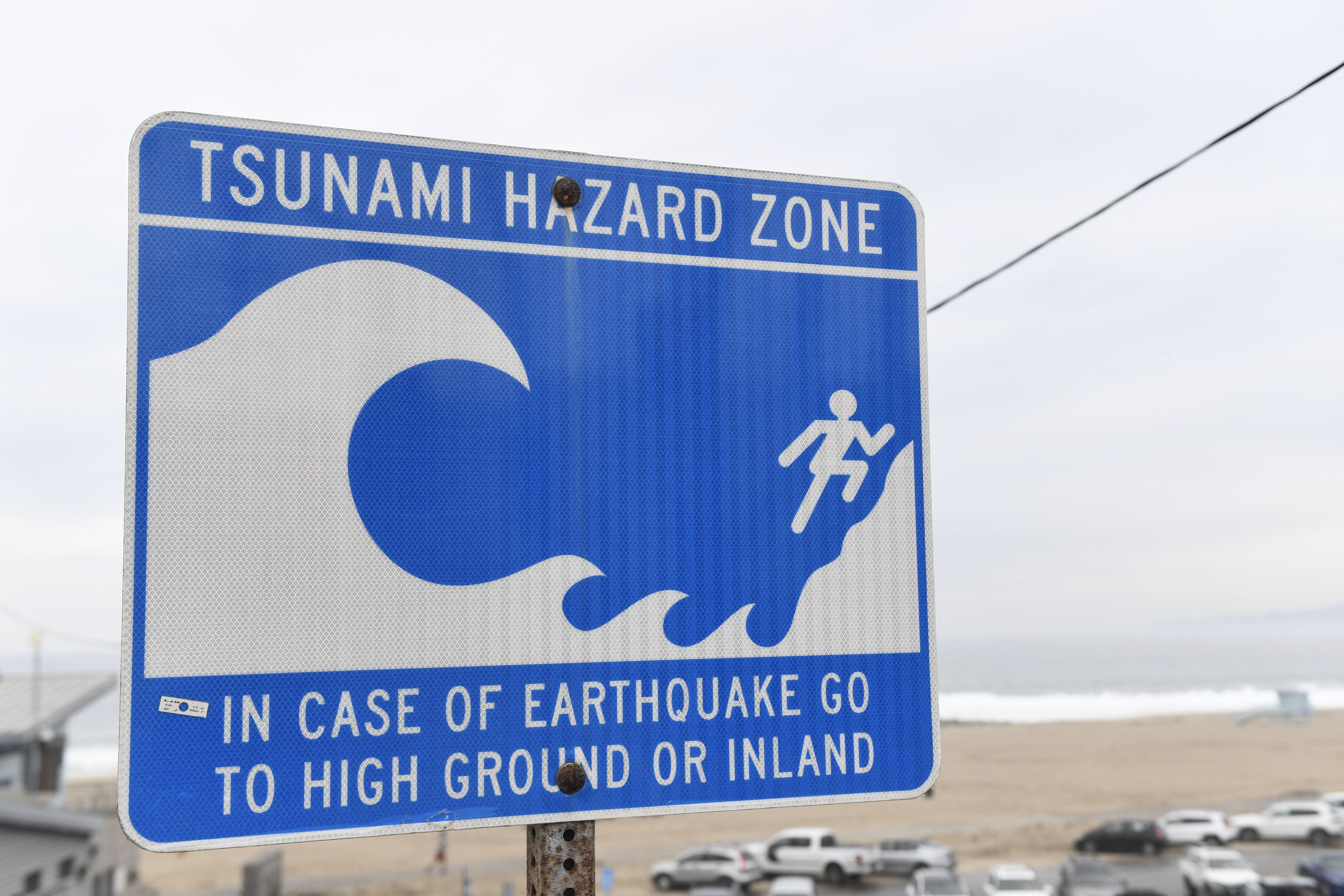A ‘mega-tsunami’ could potentially wipe out a large chunk of America if a strong enough earthquake hits a specific active fault line, scientist say.
