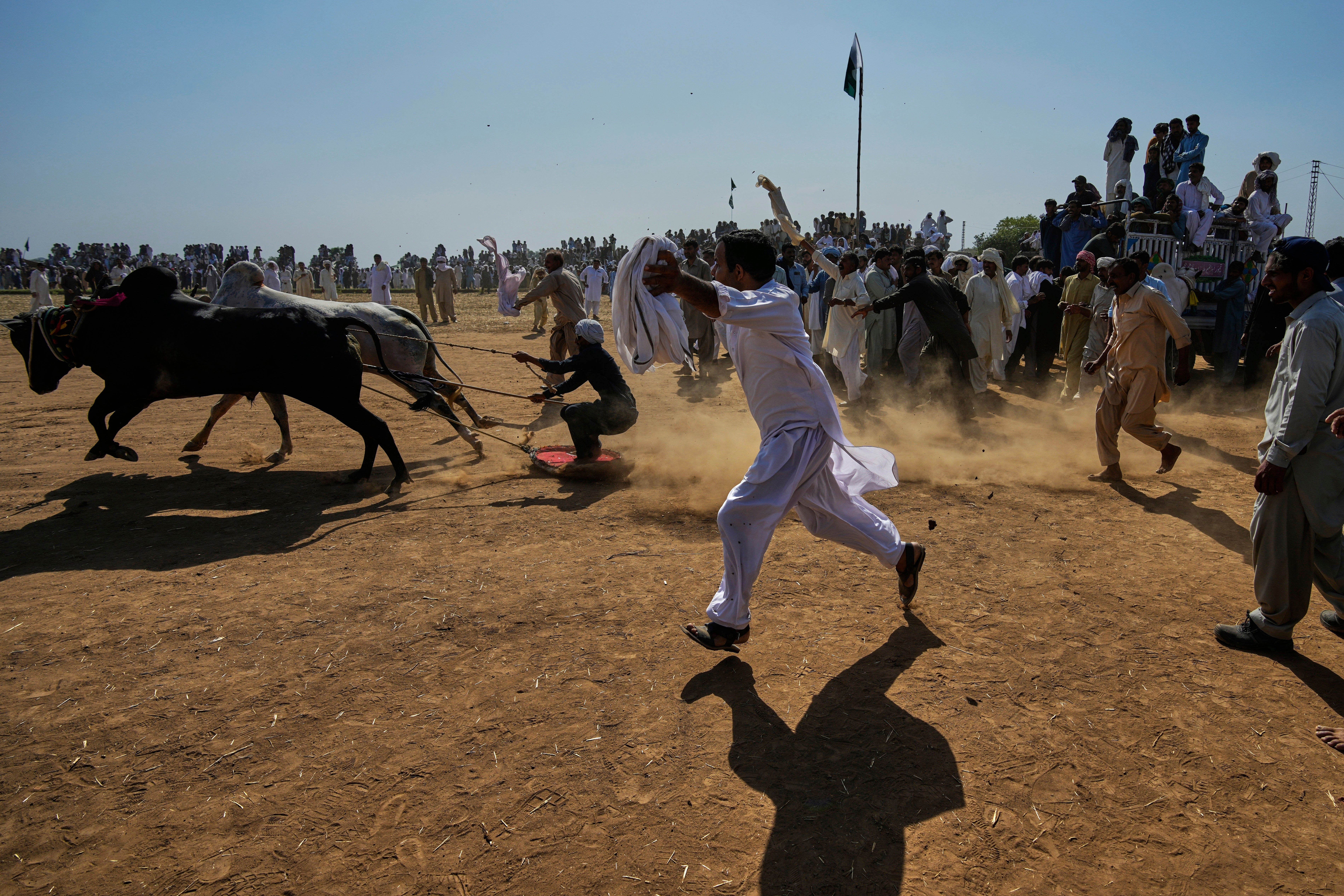 Pakistan Bull Racing Photo Gallery