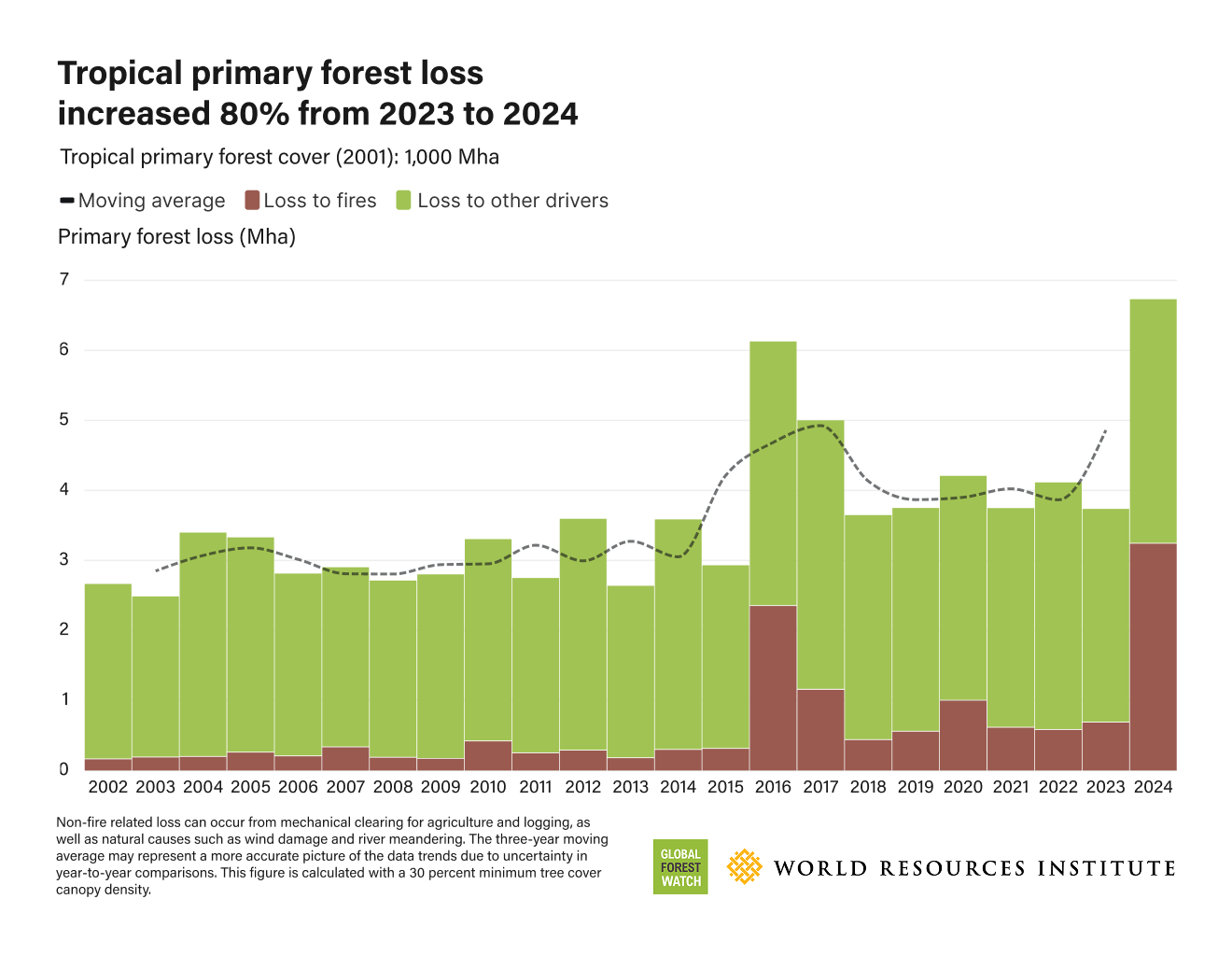Tropical primary forest loss increased 80 per cent from 2023 to 2024
