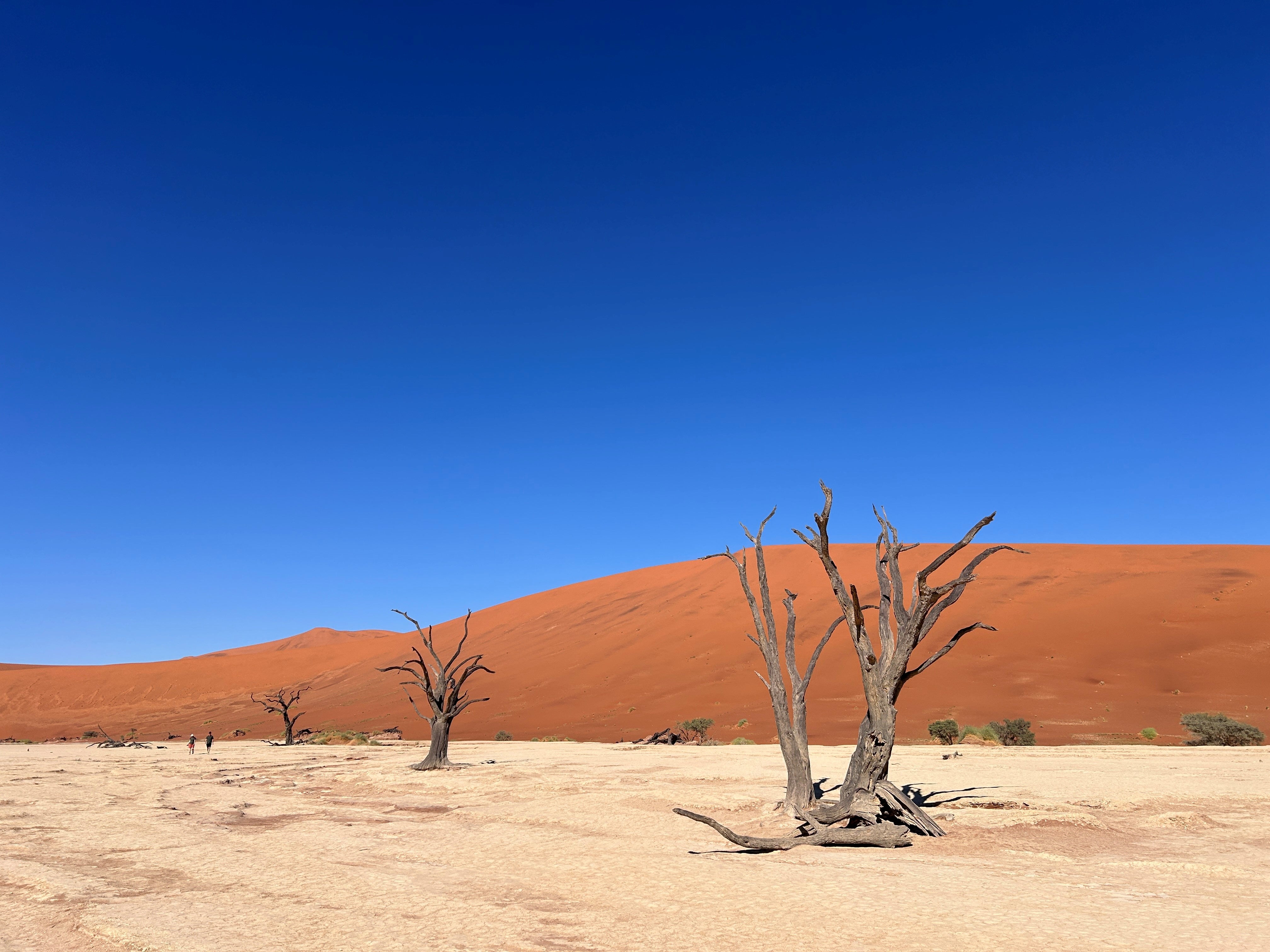 The country’s desert is space and beautiful