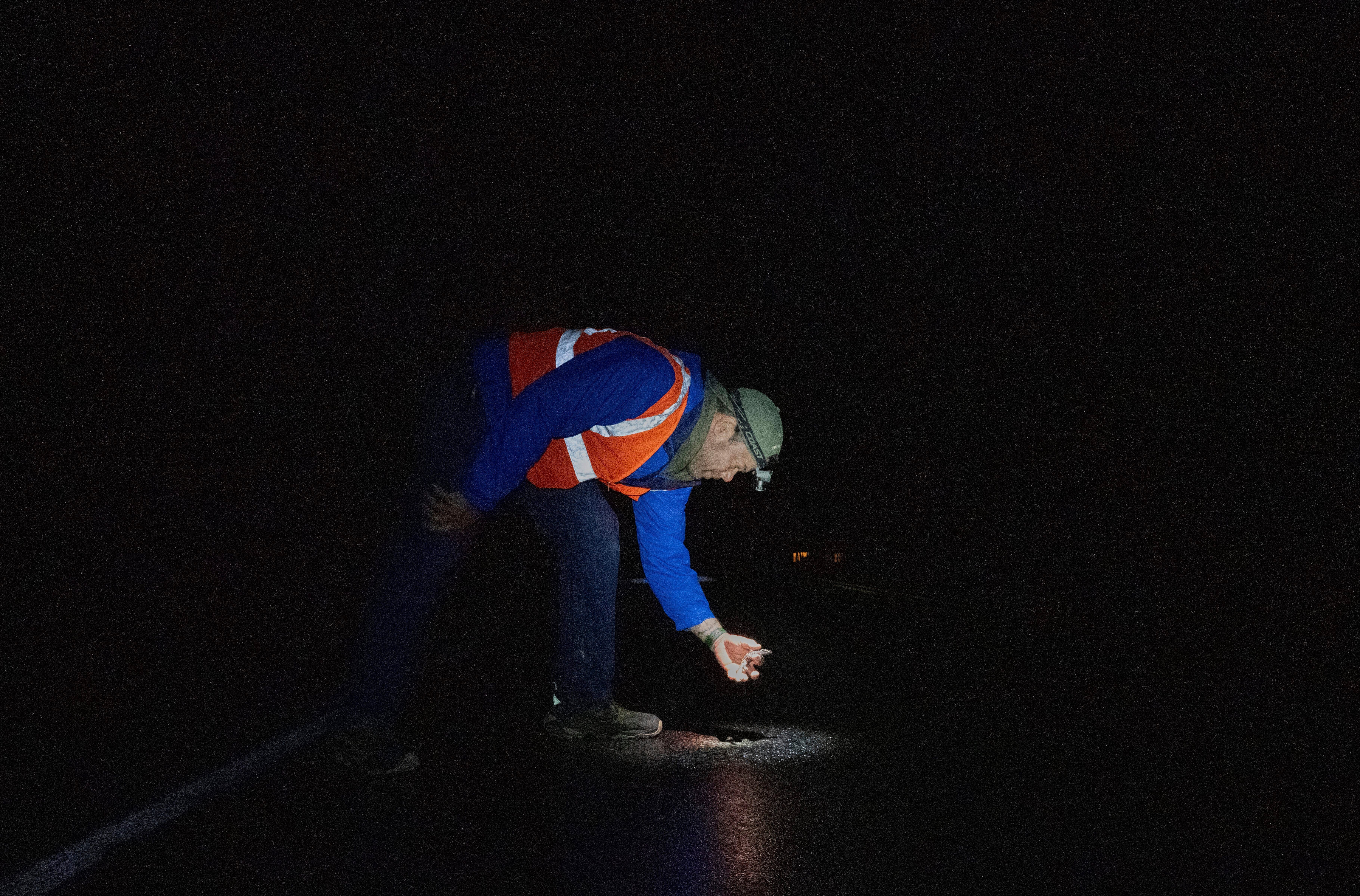 Climate Amphibians Population