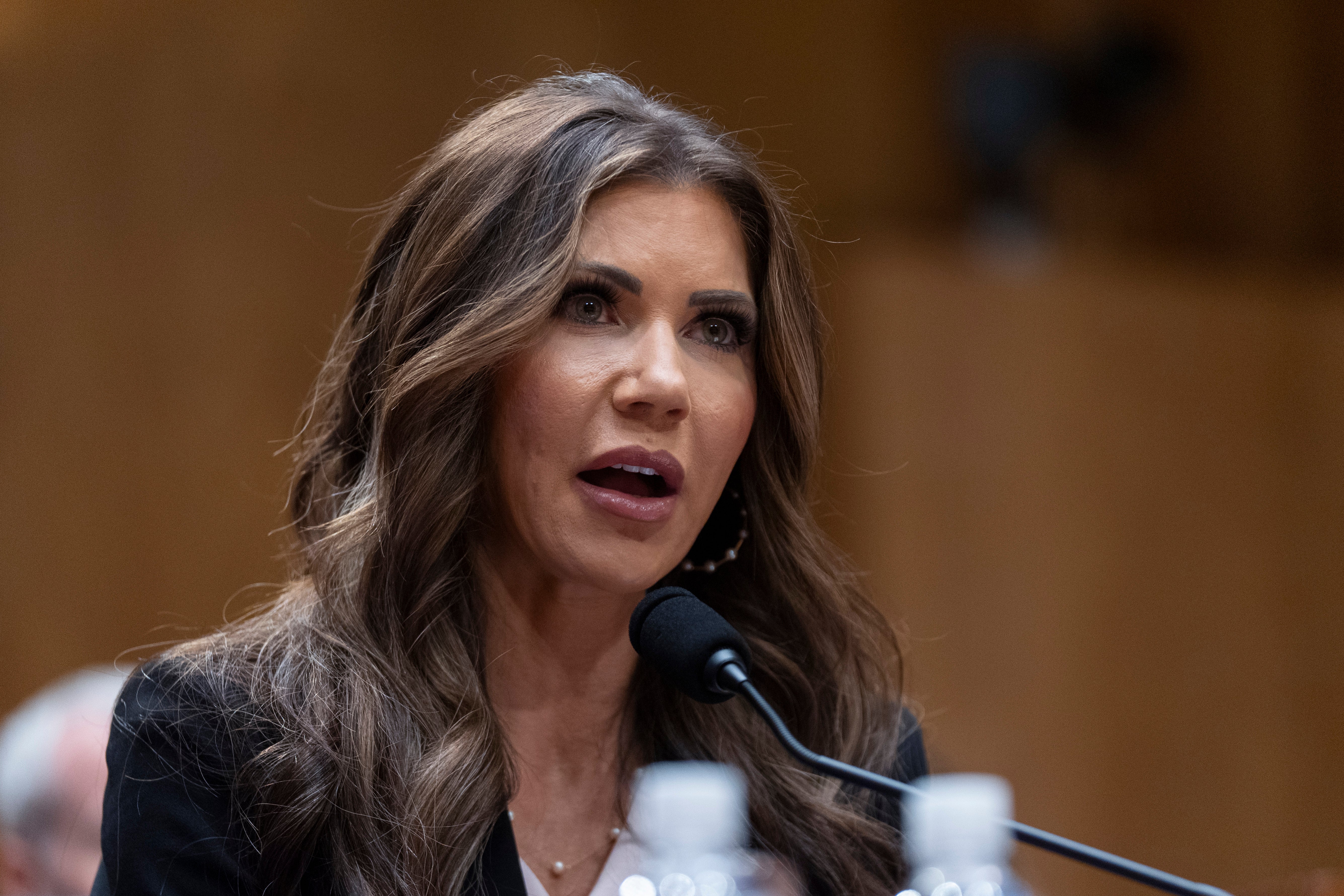 Senate Homeland Security