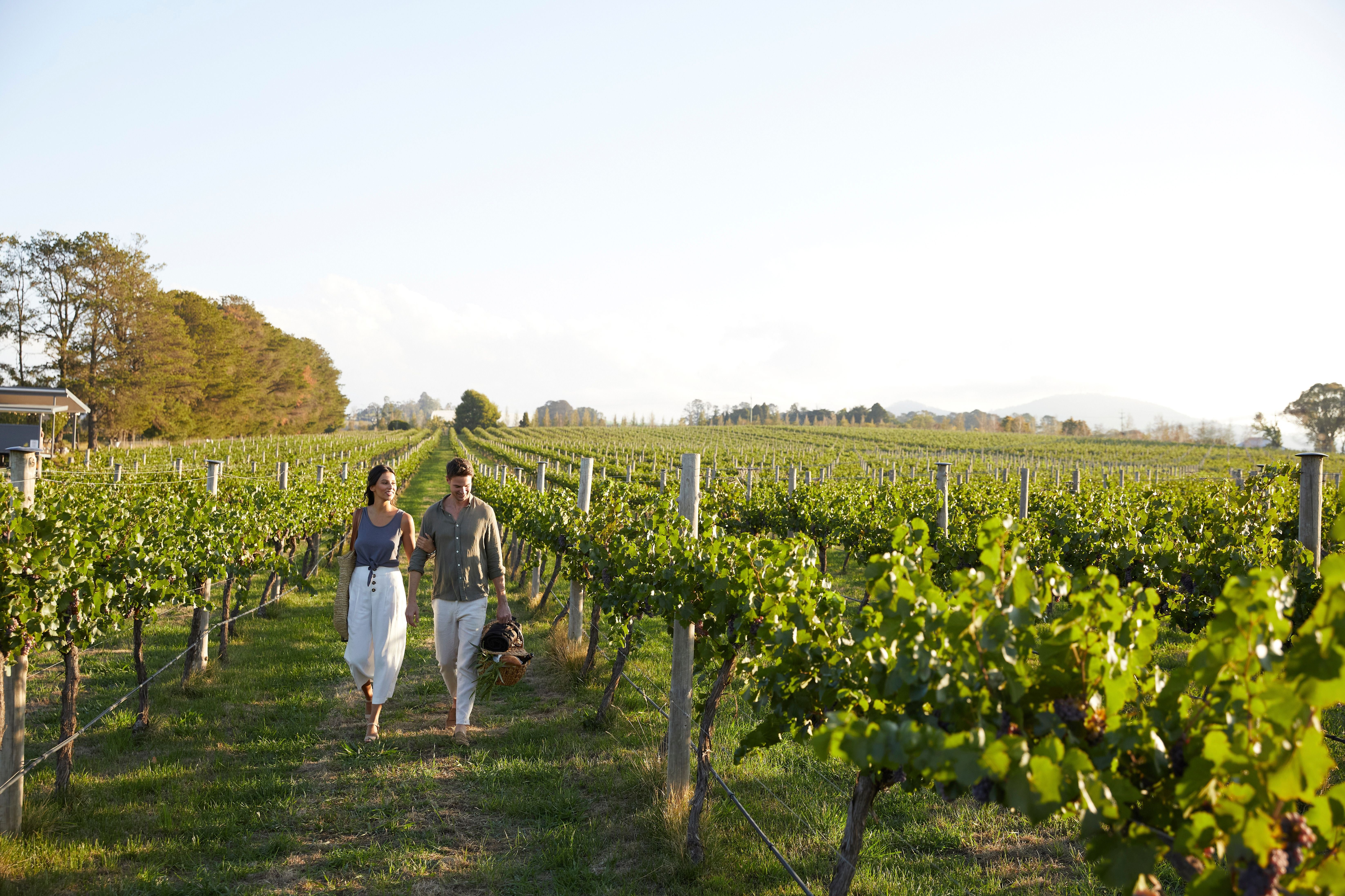 French flair meets vineyard views at Orange, a Hunter Valley gem blending fine dining with rustic charm