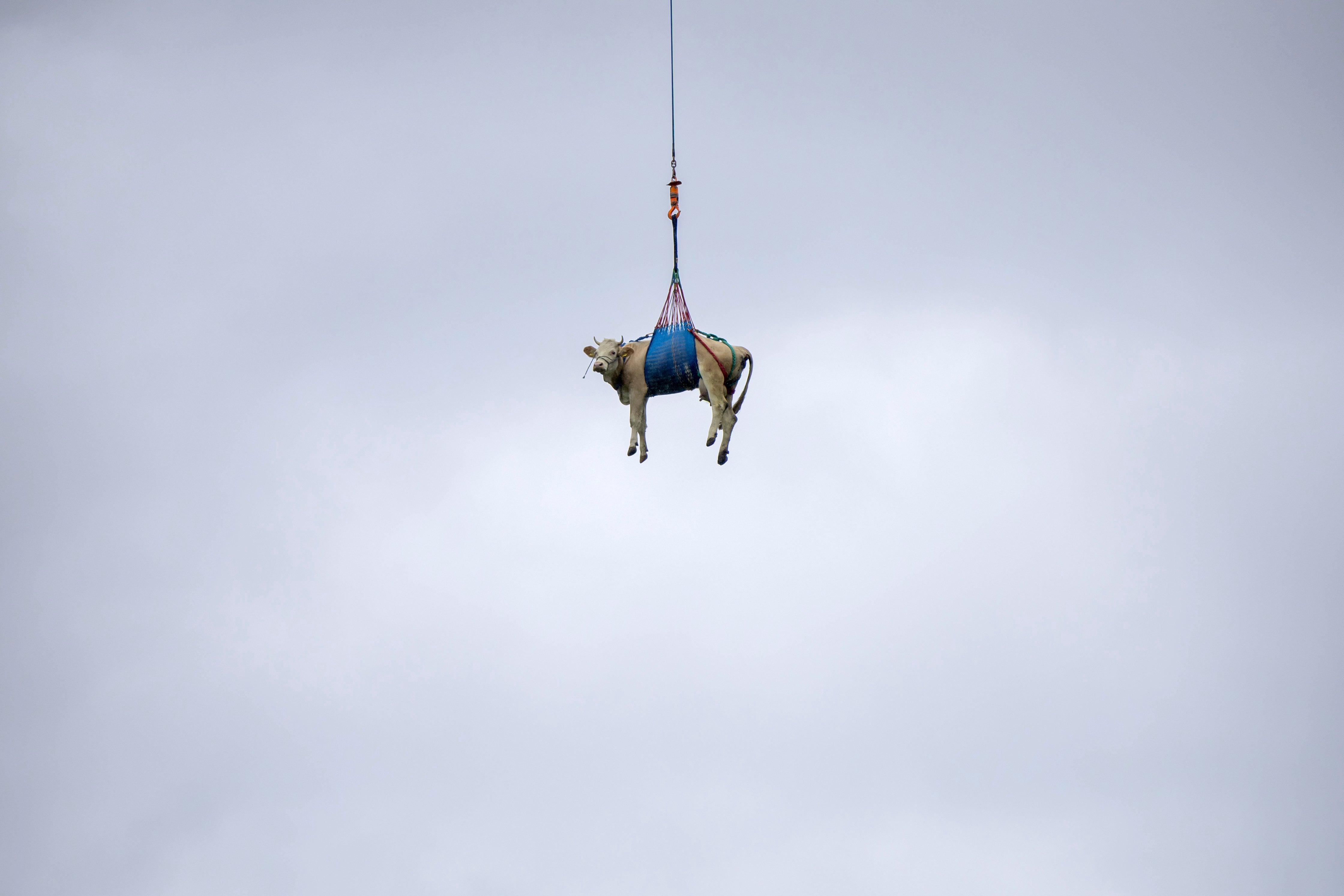 Switzerland-Alpine-Evacuation