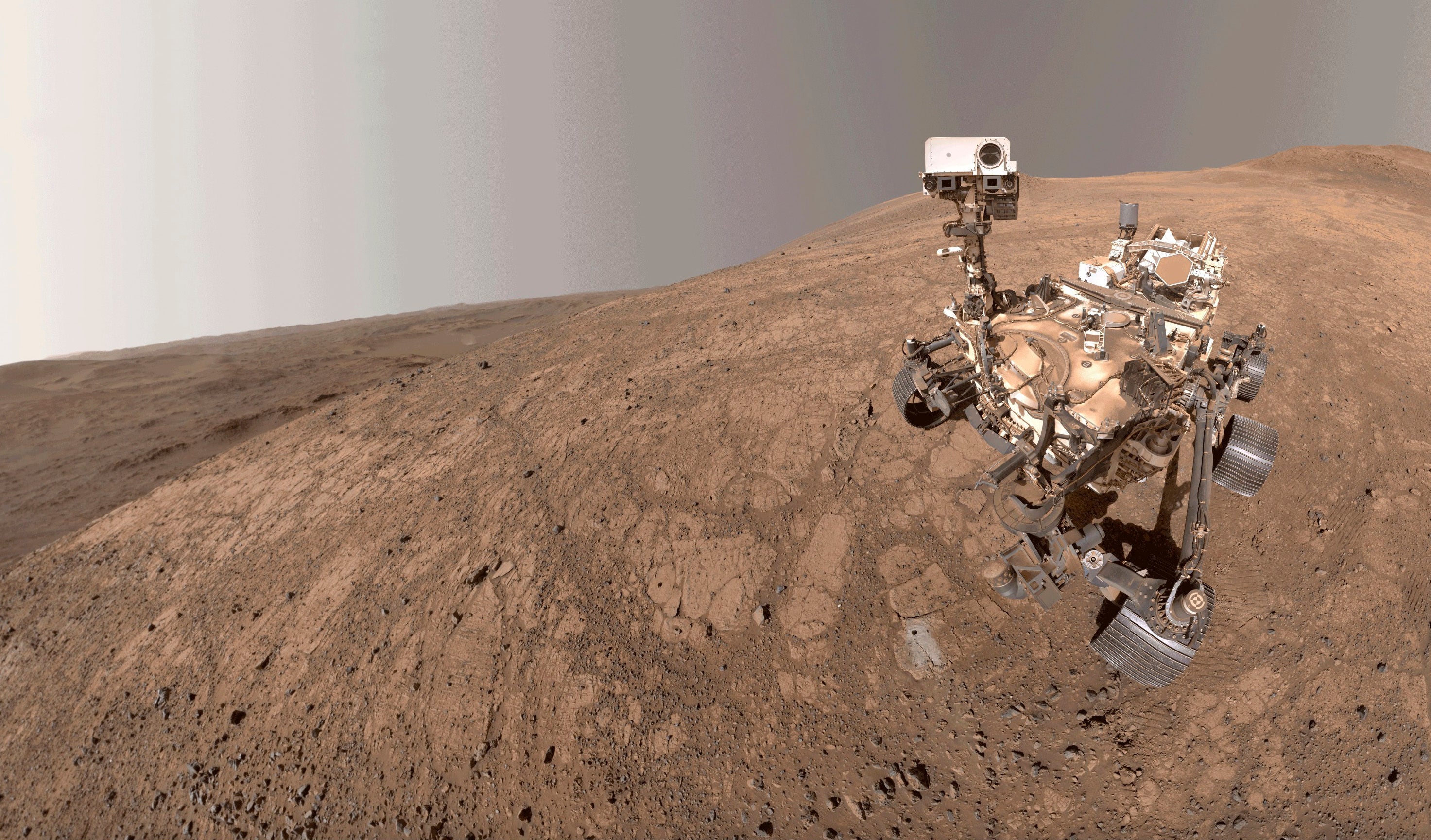 Mars Rover Selfie